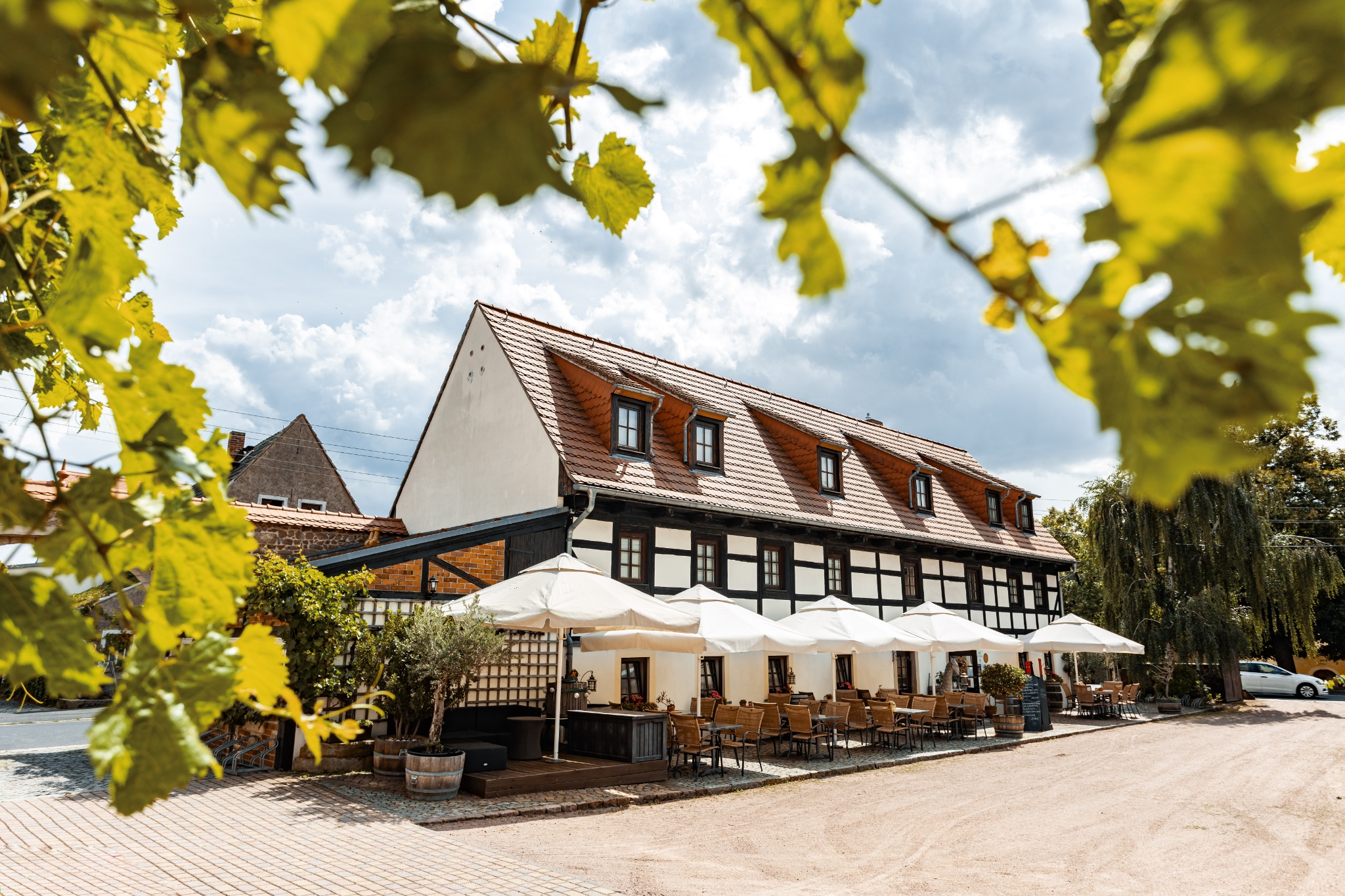 Weingut Schuh mit Vinothek & Pension – Motiv