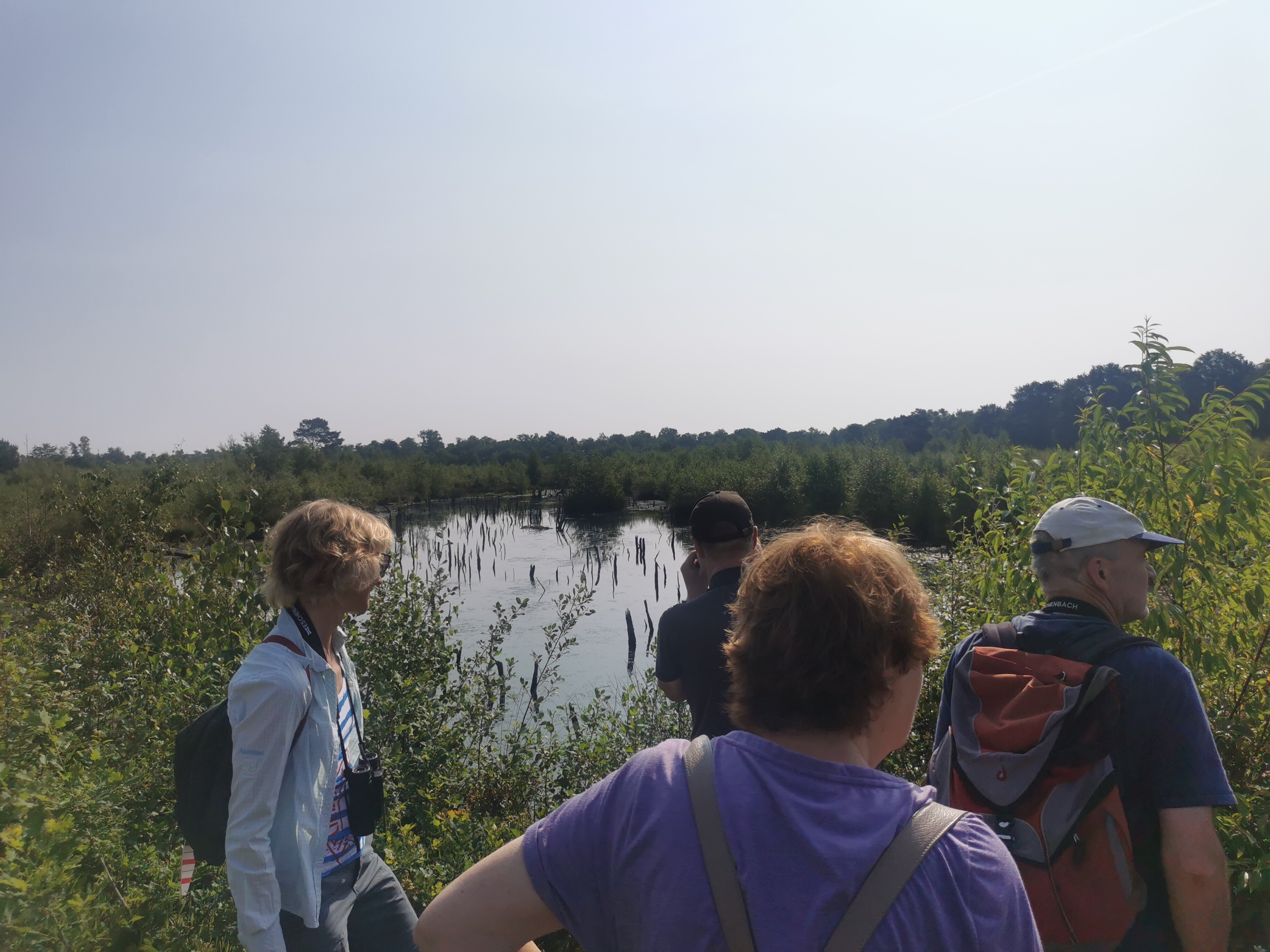 Naturkundliche Wanderung im Venner Moor