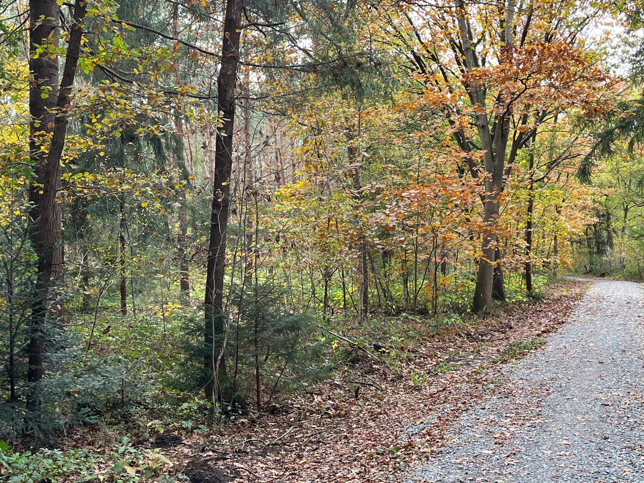 Rundwanderweg "Twölf Jück"