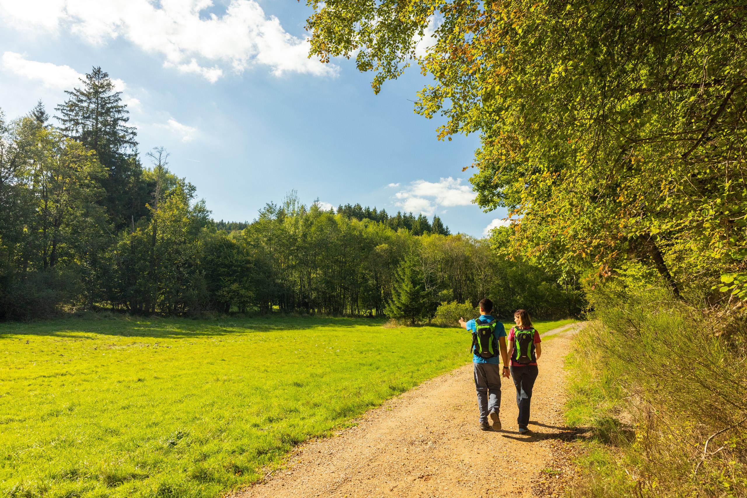 Wandern in der Nordeifel