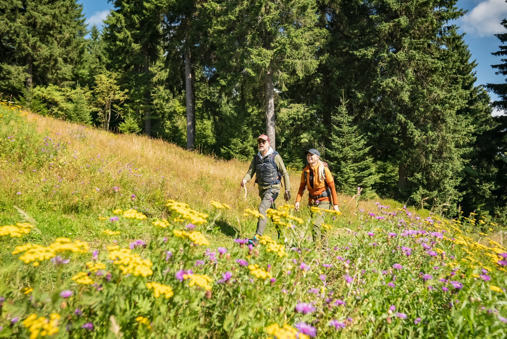 123. Deutscher Wandertag vom 24. – 27.09.2026 in Kurort Oberwiesenthal
