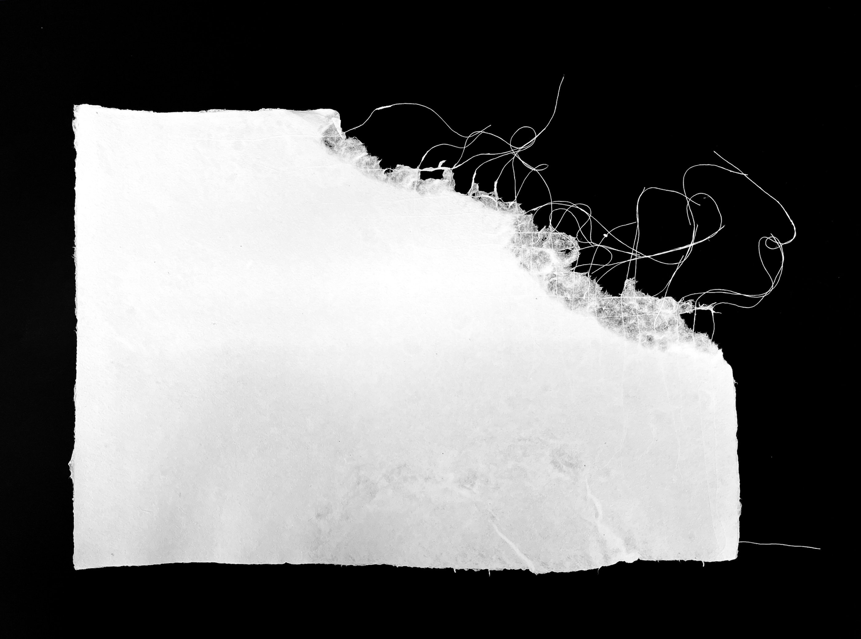 Anali Vakili.  Der Tag, an dem ich starb