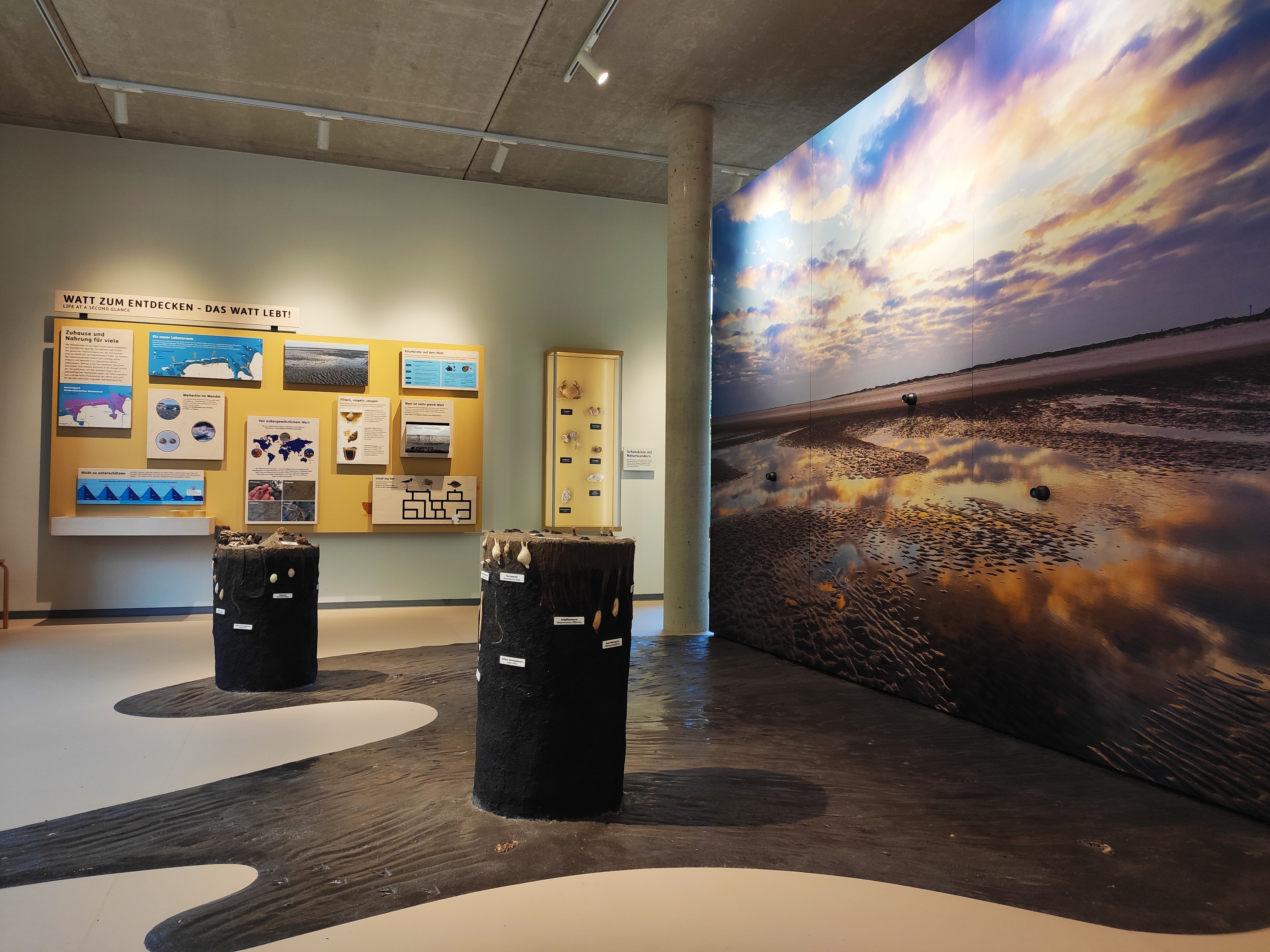  &raquo;Watt im Haus&laquo; - Entdecken, Staunen, Verstehen Hausf&uuml;hrung Nationalpark-Haus Wattenhuus