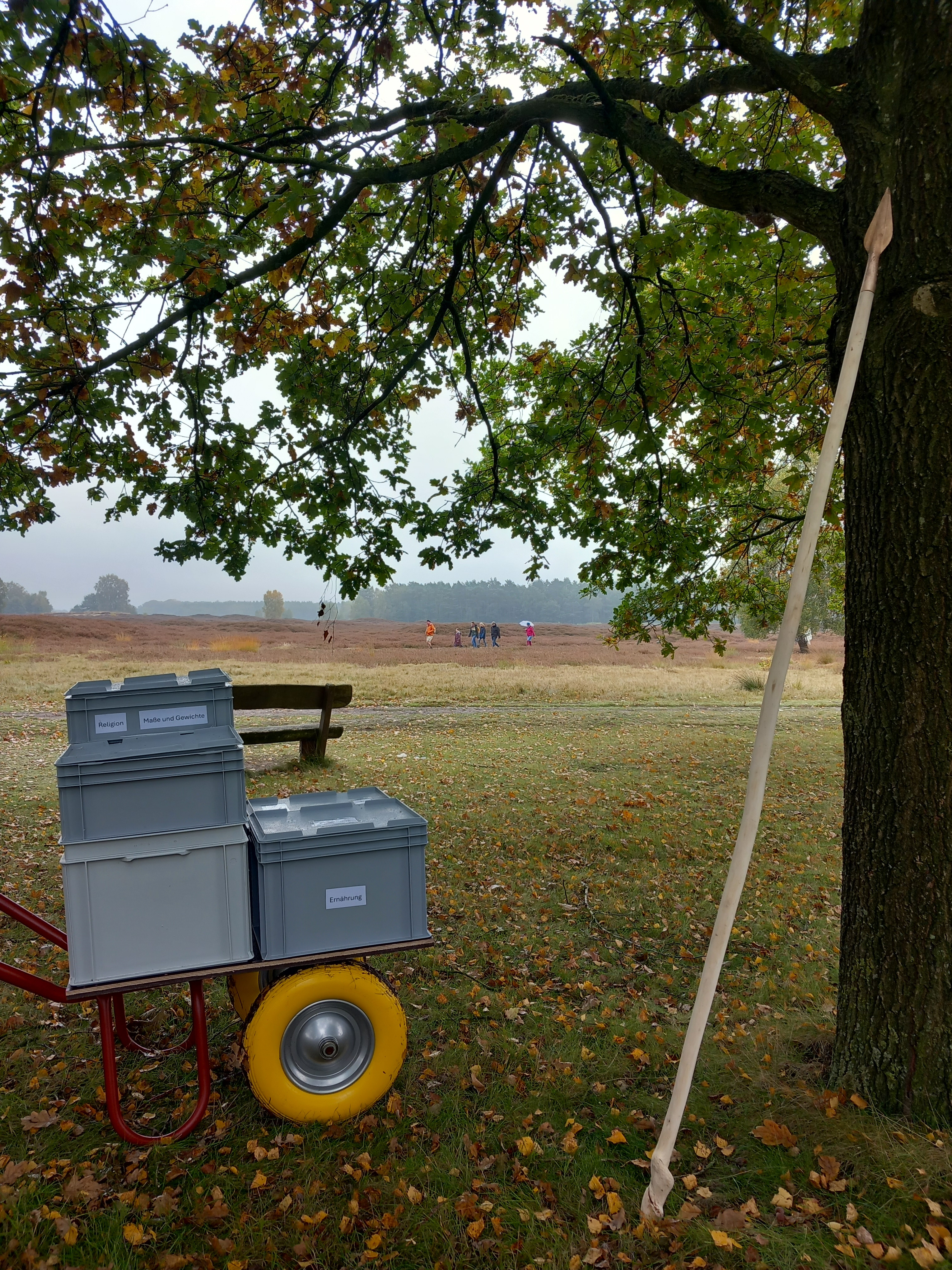 Arch&auml;ologische "Expedition" zum Radbodsberg