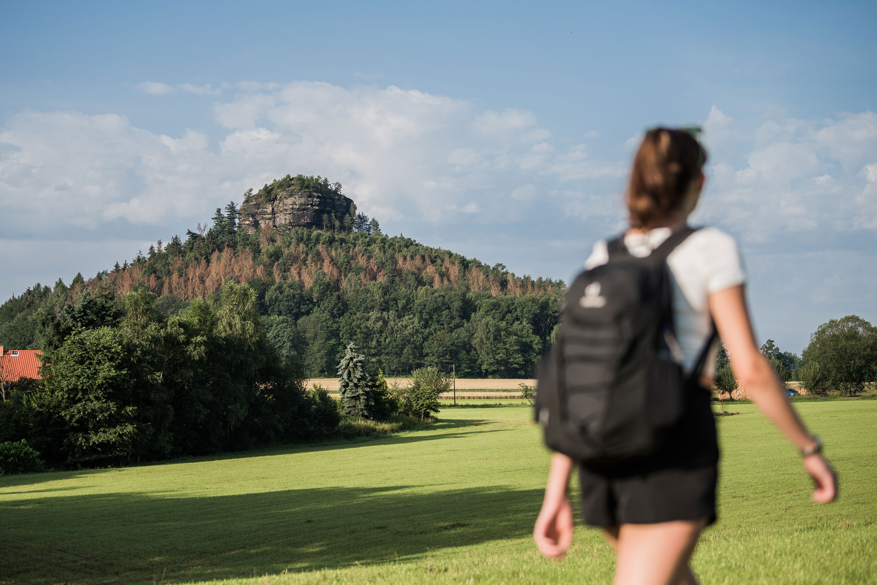 „Wanderer über dem Nebelmeer“ – Malerweg um Zirkelstein und Kaiserkrone