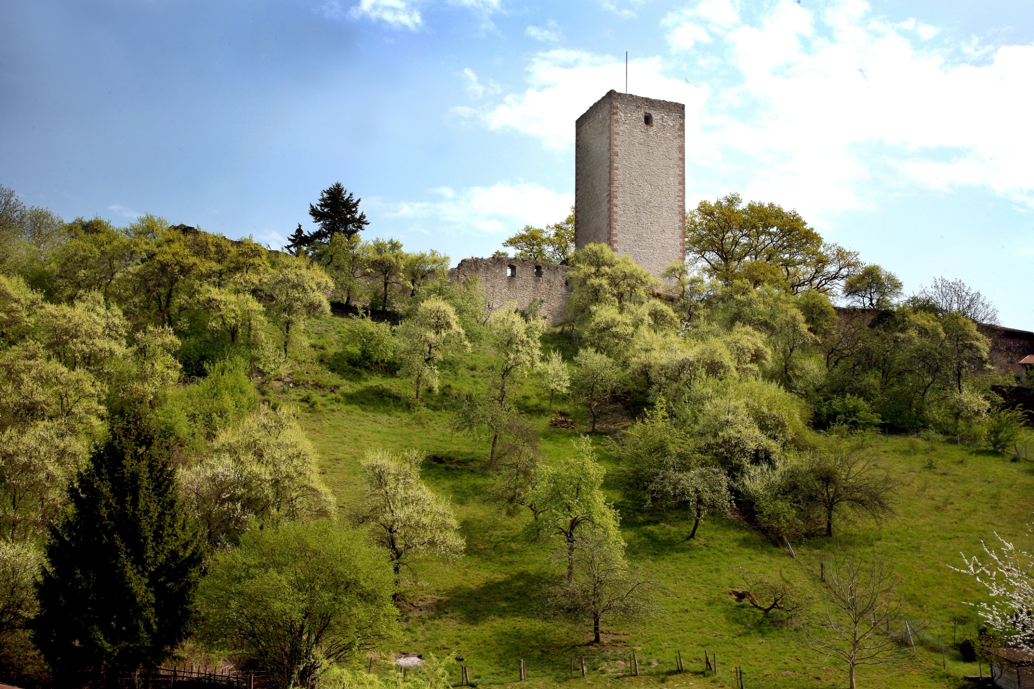 Auf zur Greener Burg