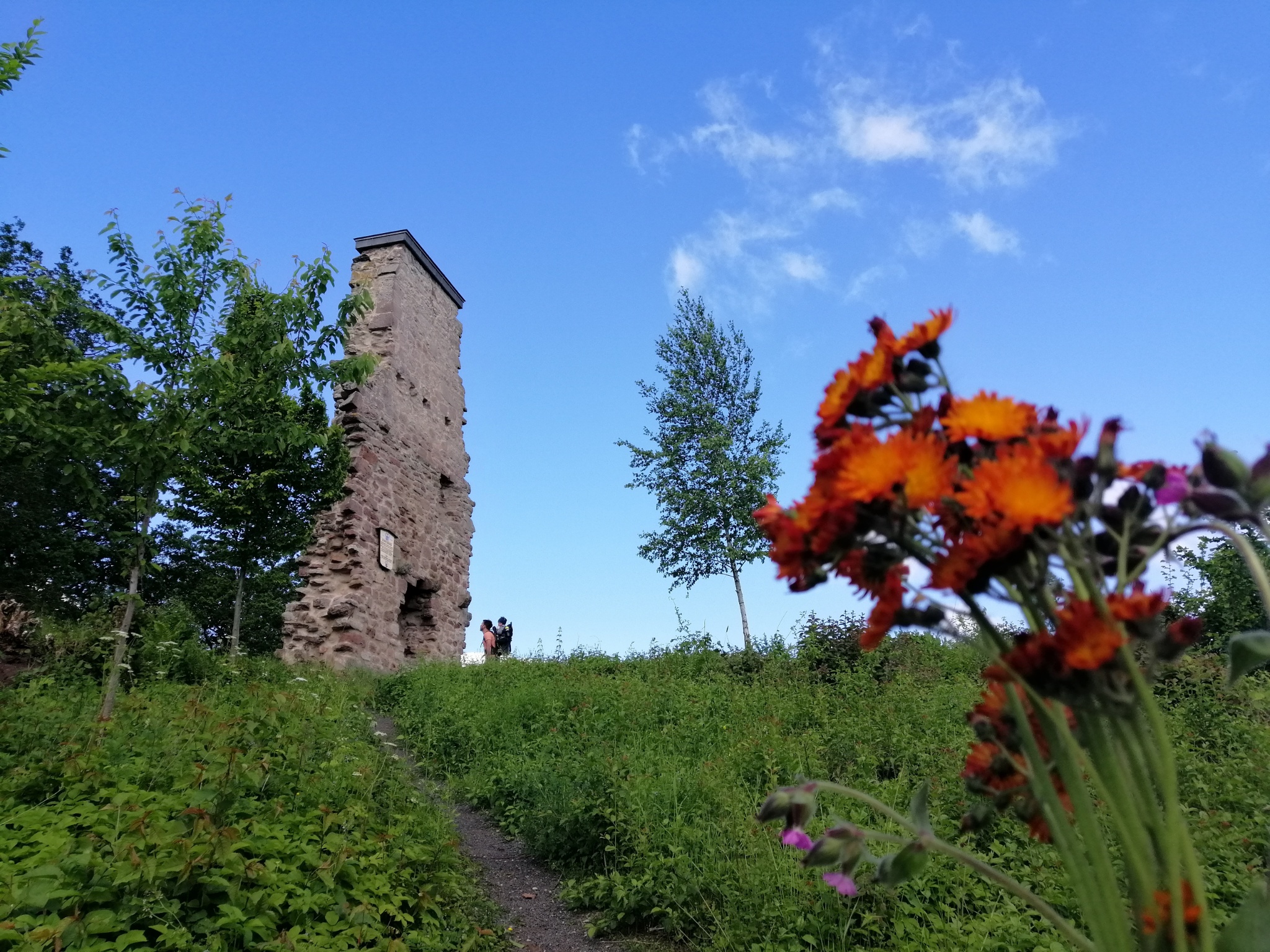 Familienwanderung zur Löwenburg in Lauenberg