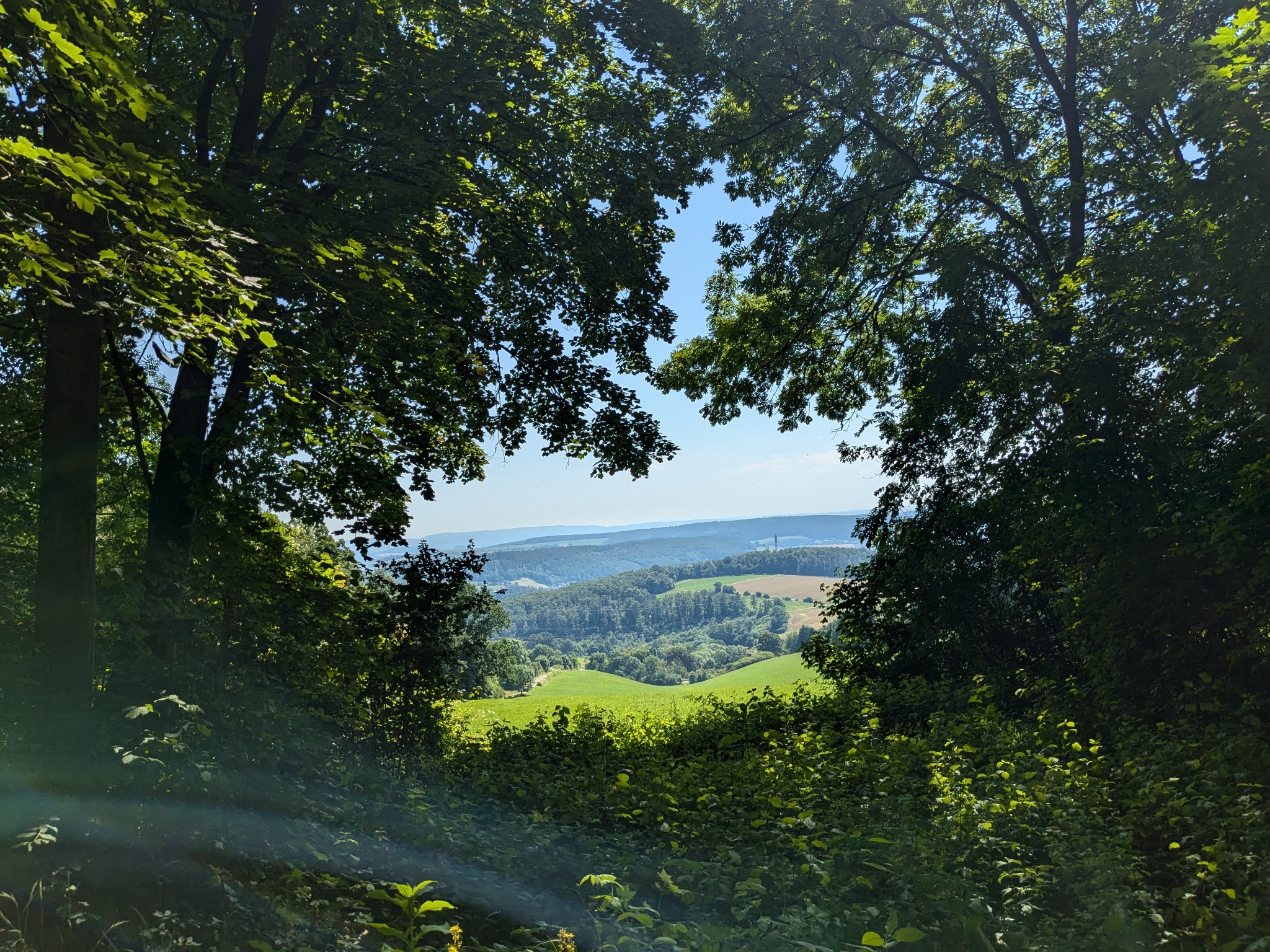 Rundwanderung Greener Wald - Clausbusch