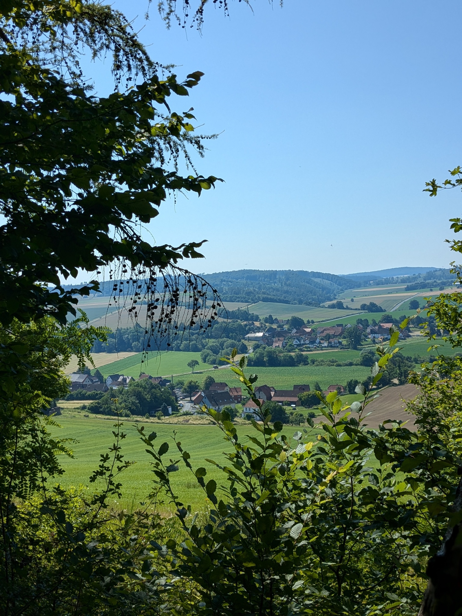 Rundwanderung Greener Wald - Taubergweg