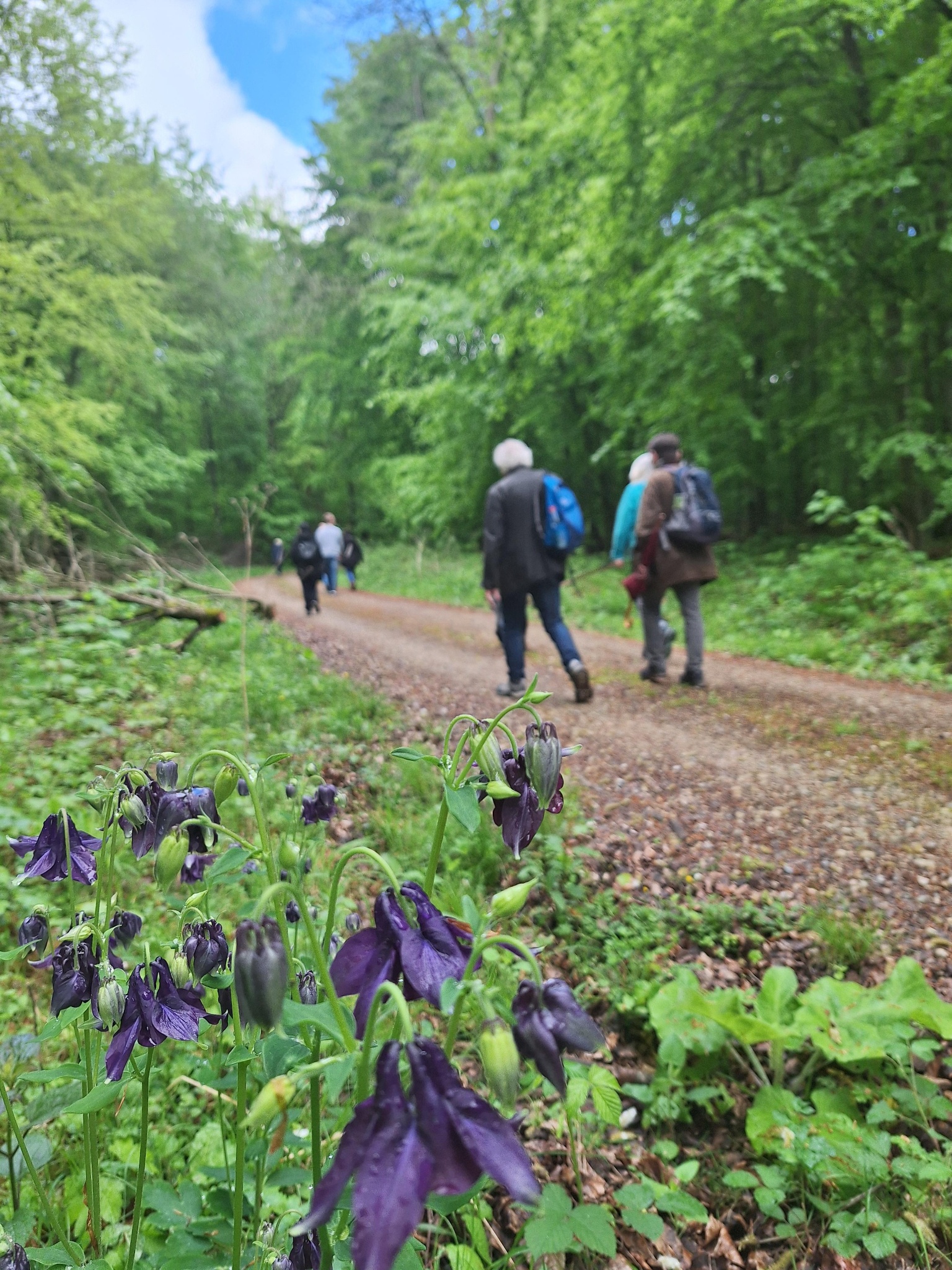 Naturpark-Wanderweg Nordmannsturm (Ni 5) / 8,5 km