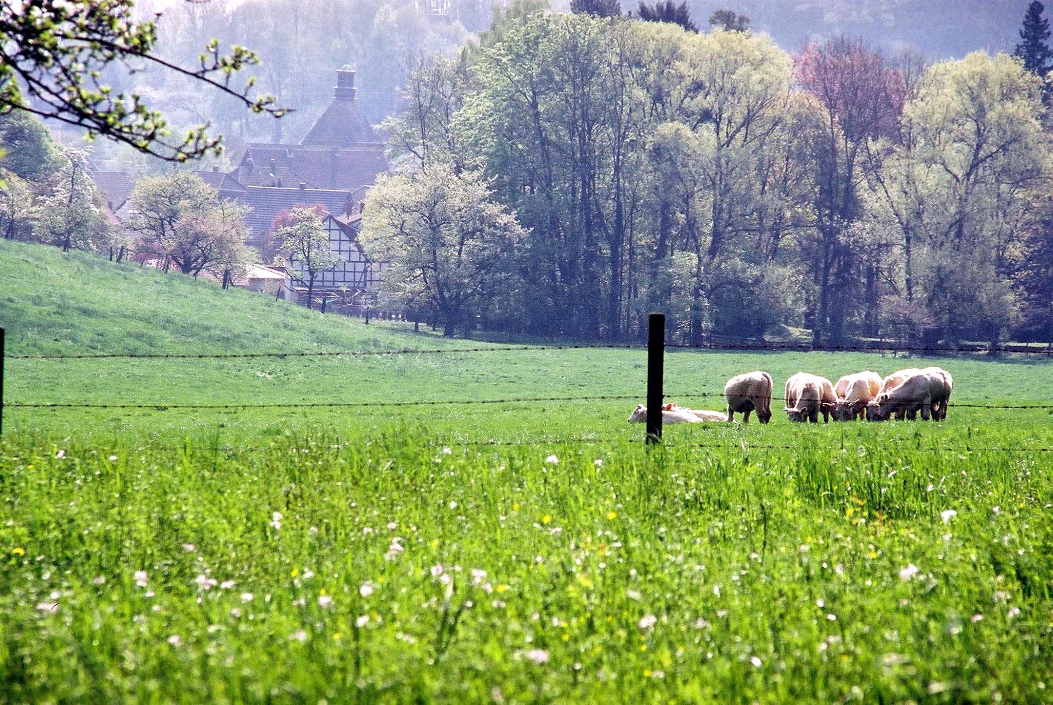 Naturpark-Wanderweg Lauenstein-Runde (SA 1) / 5,2 km