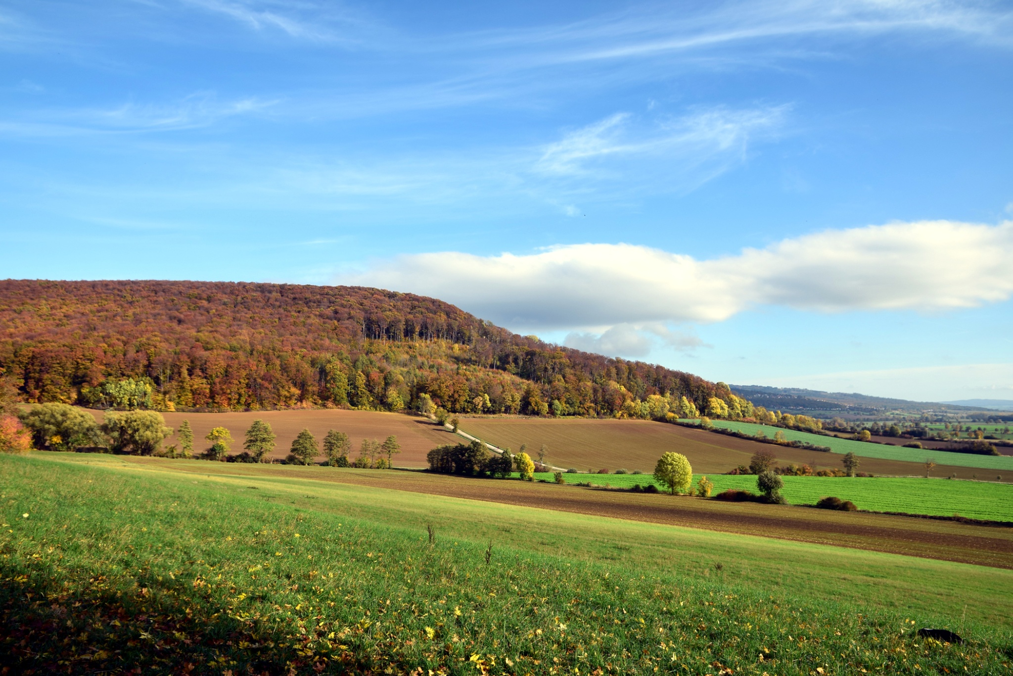 Naturpark Wanderweg NaturSinnesPfad / 1,1 km