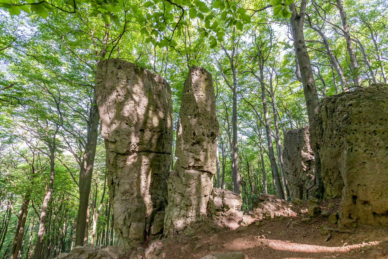 Ith-Hils-Weg Etappe 1: Coppenbrügge – Humboldtsee