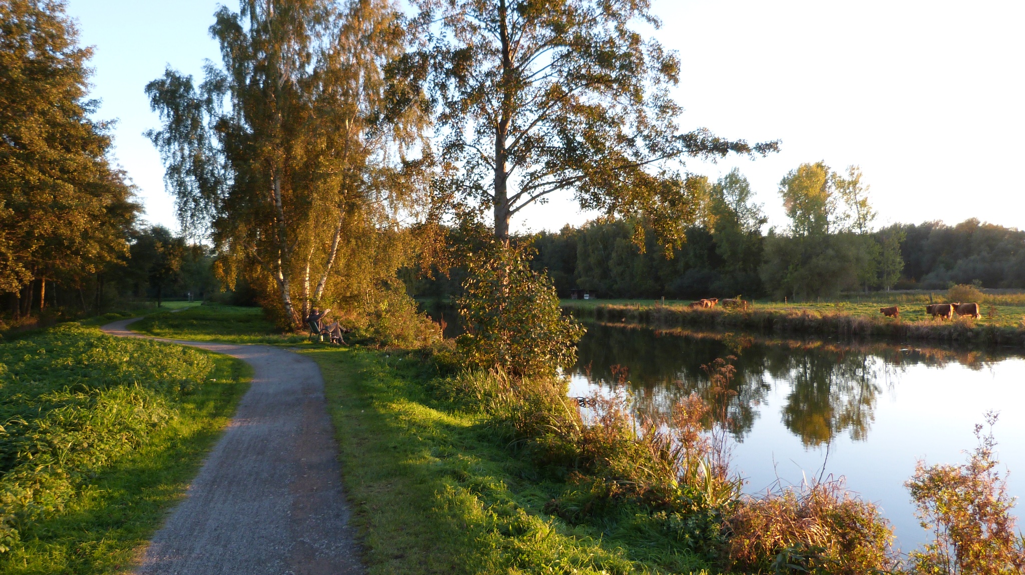 Der Regionsring