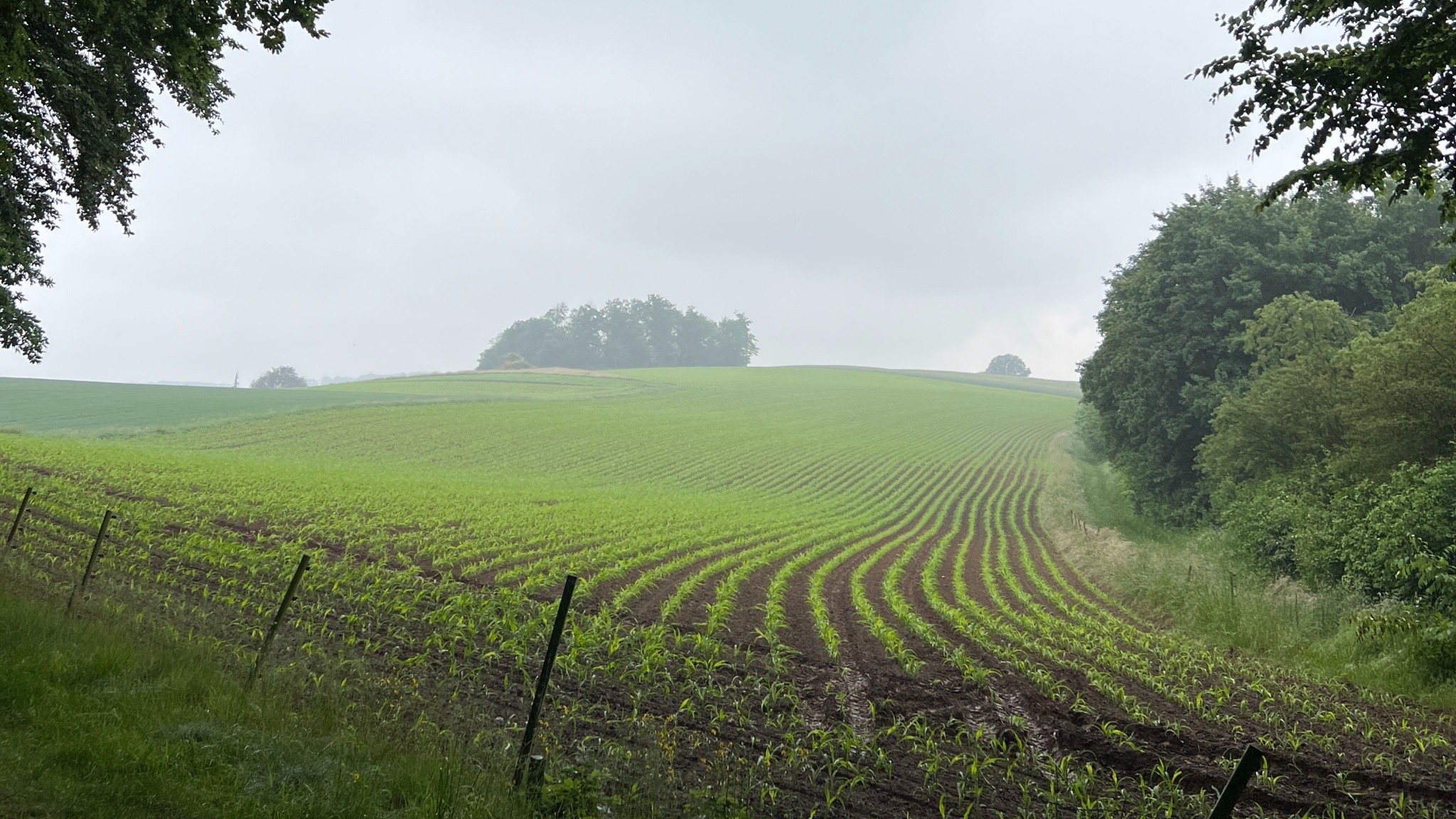 RI14 - Rumbecker Berg-Route