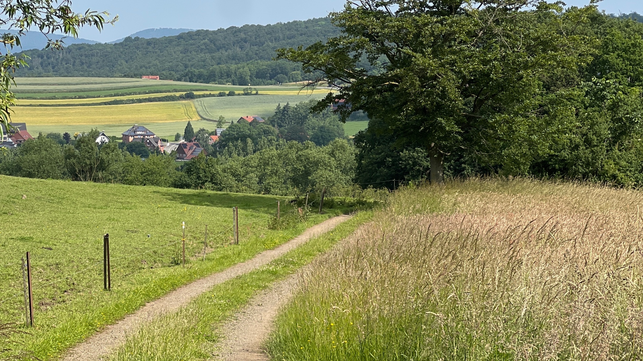 RI17- Friedrichswald-Route