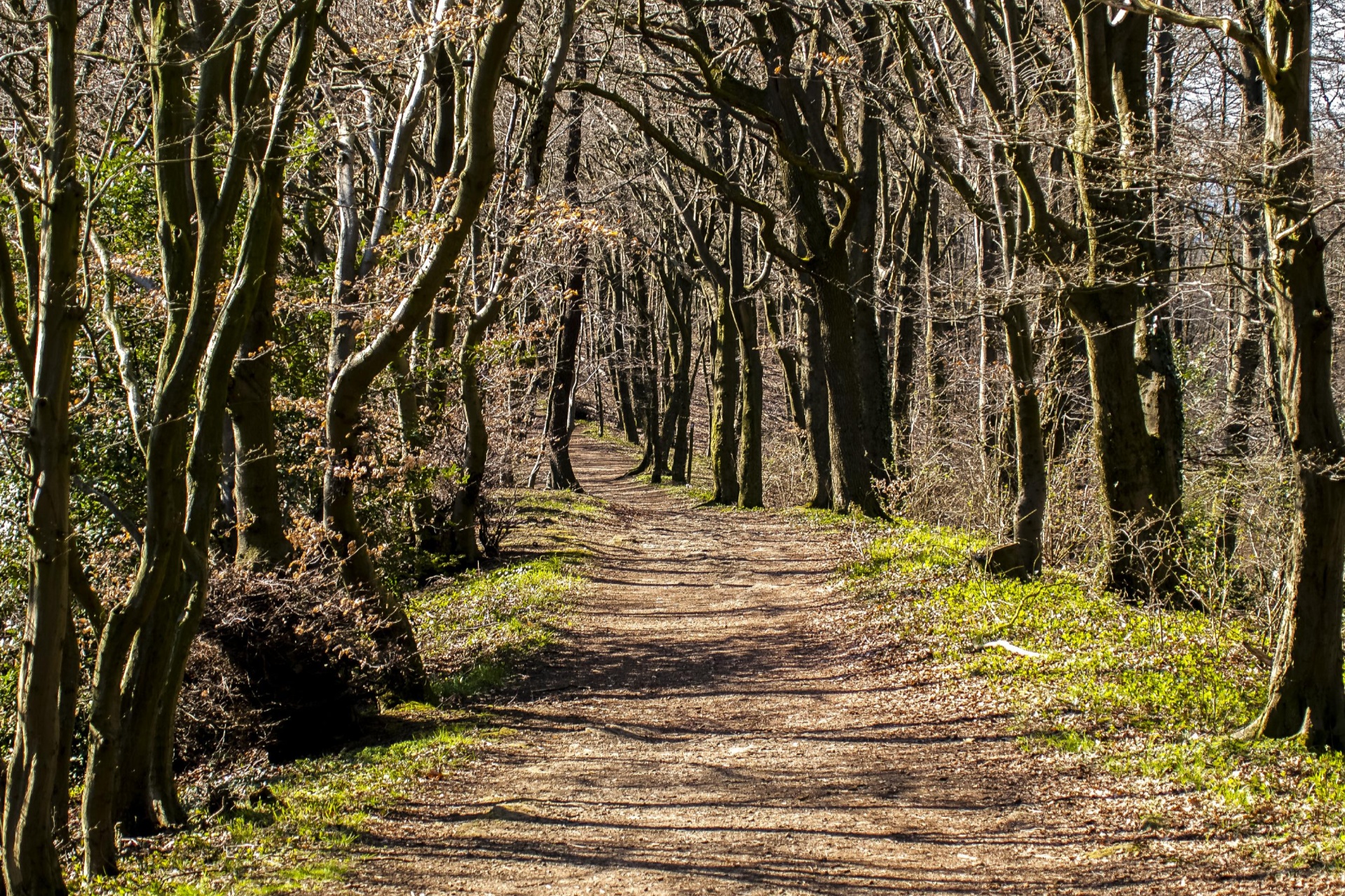 Rundwanderweg ET11