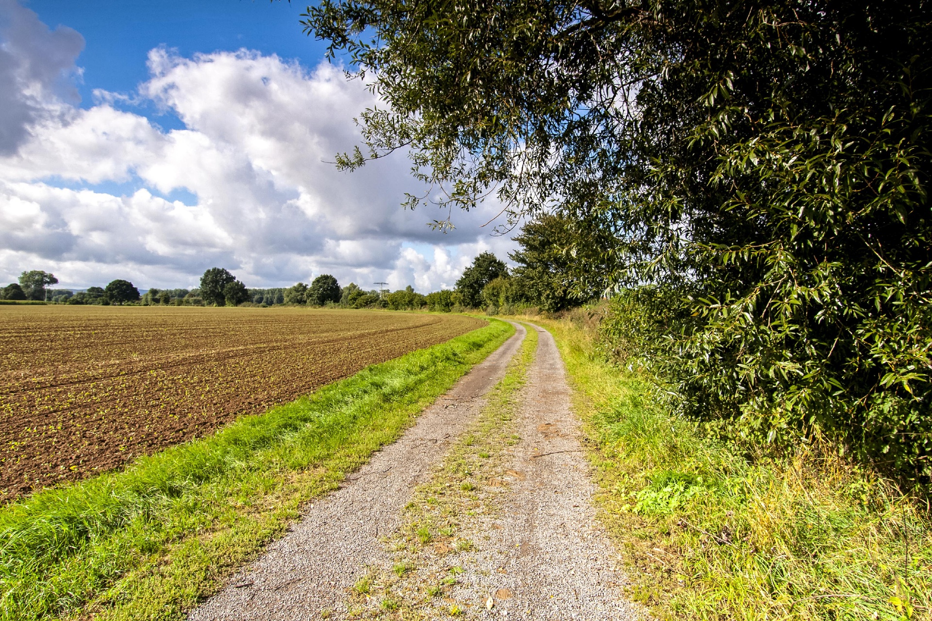 Rundwanderweg AE4