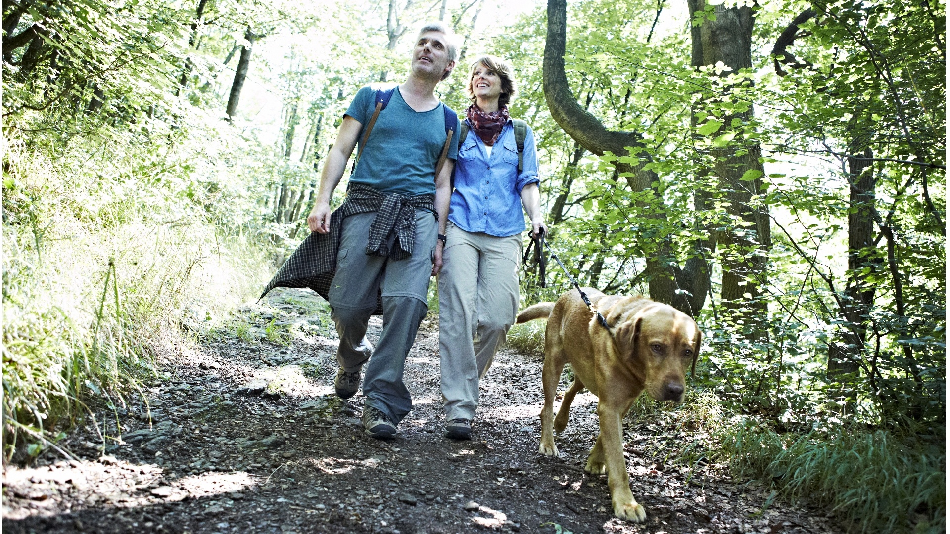 AE10 / Der "Zehner" - Das große Wandern rund um Aerzen
