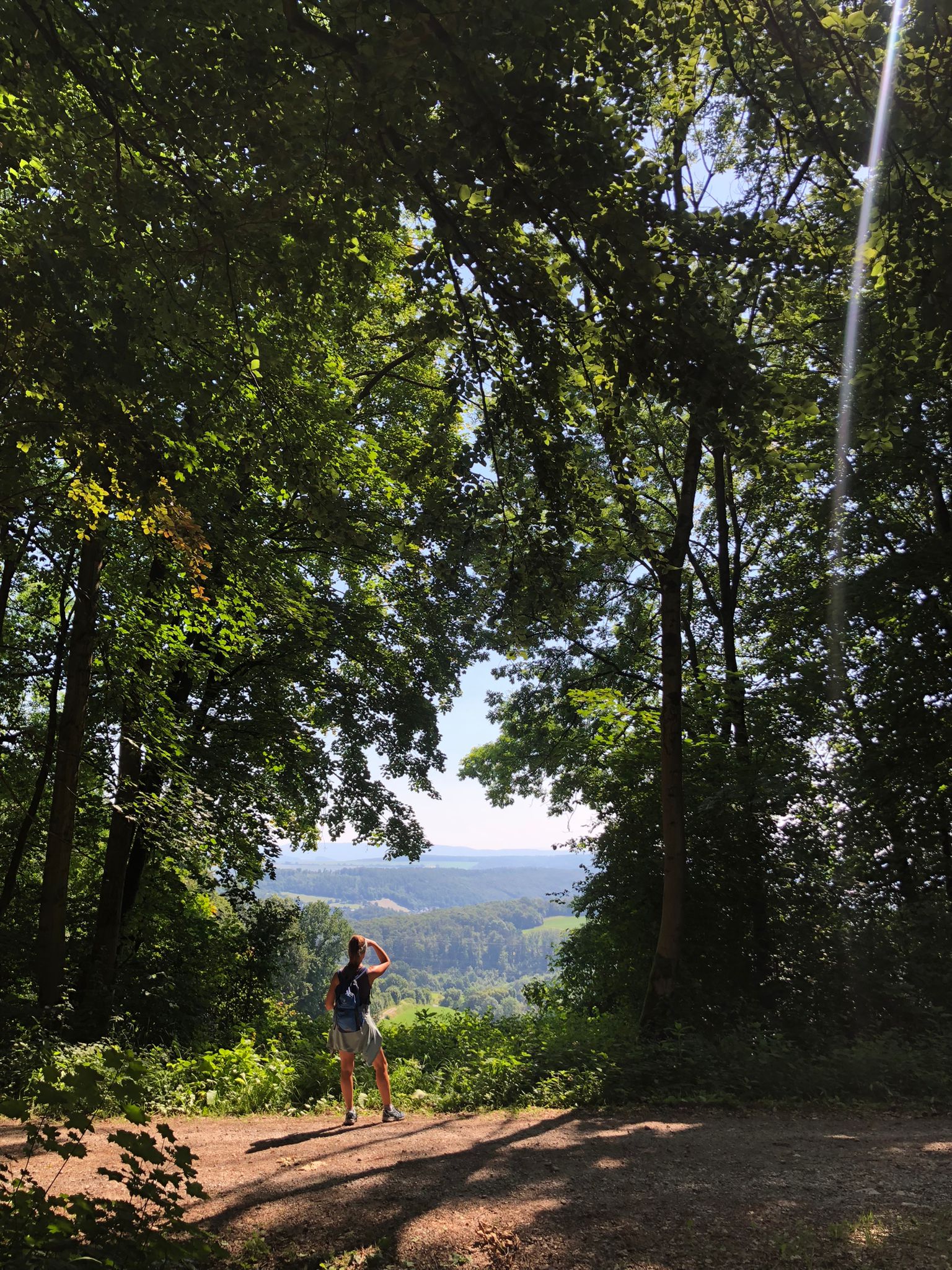 Rundwanderung Greener Wald - Burgweg, Einbecker Weg