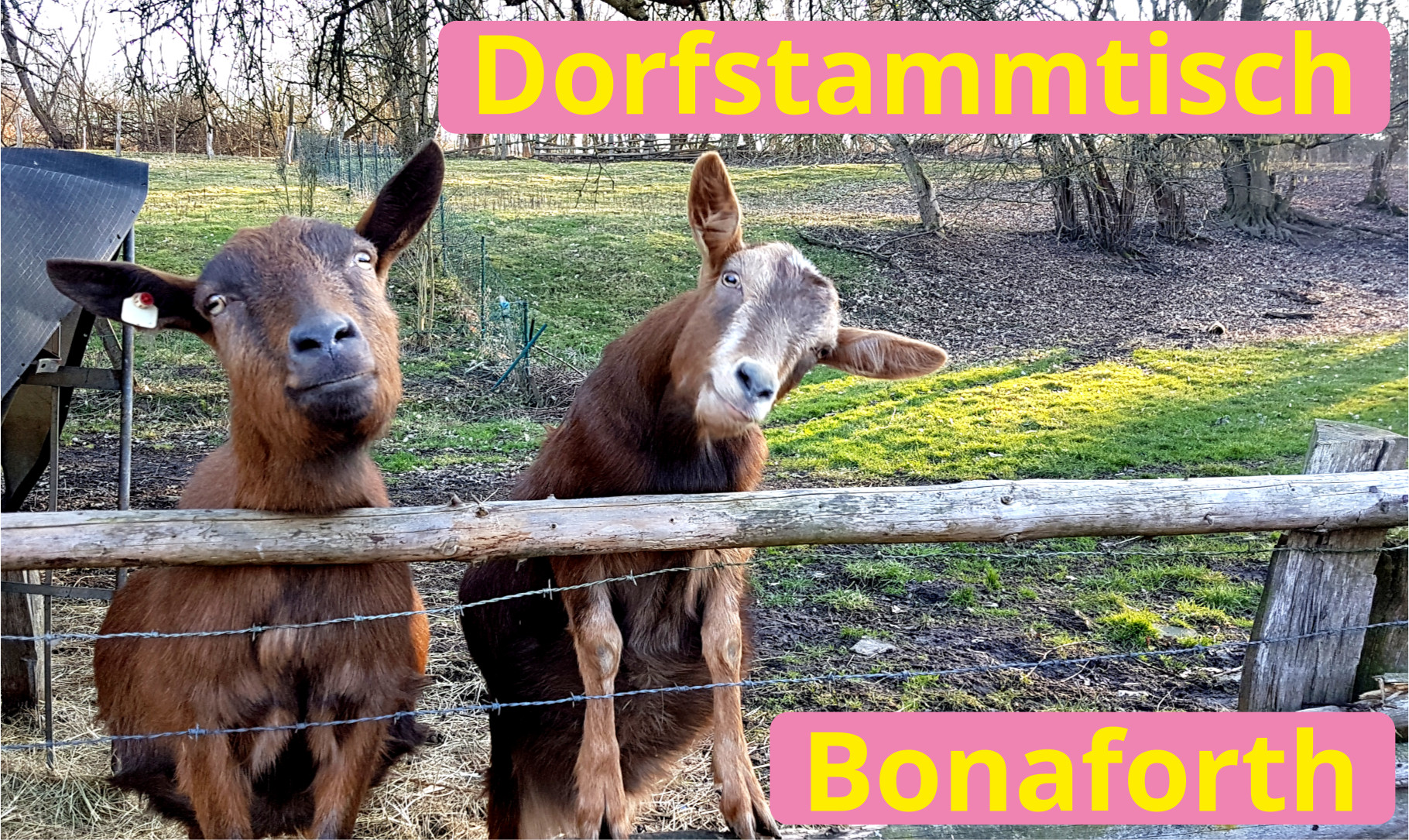 Bonaforther Stammtisch