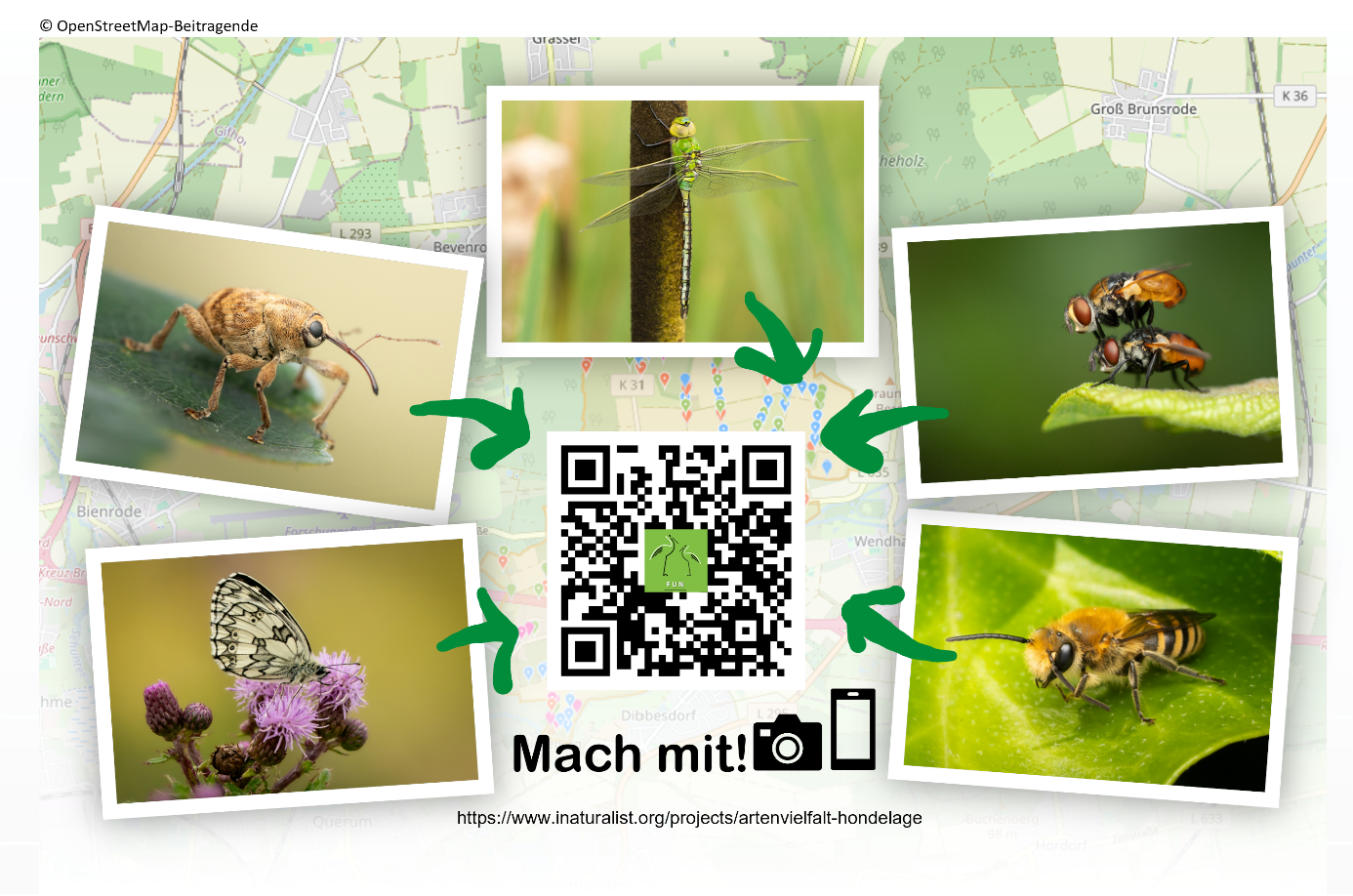 Artenvielfalt Hondelage - Ein digitales Mitmachprojekt
