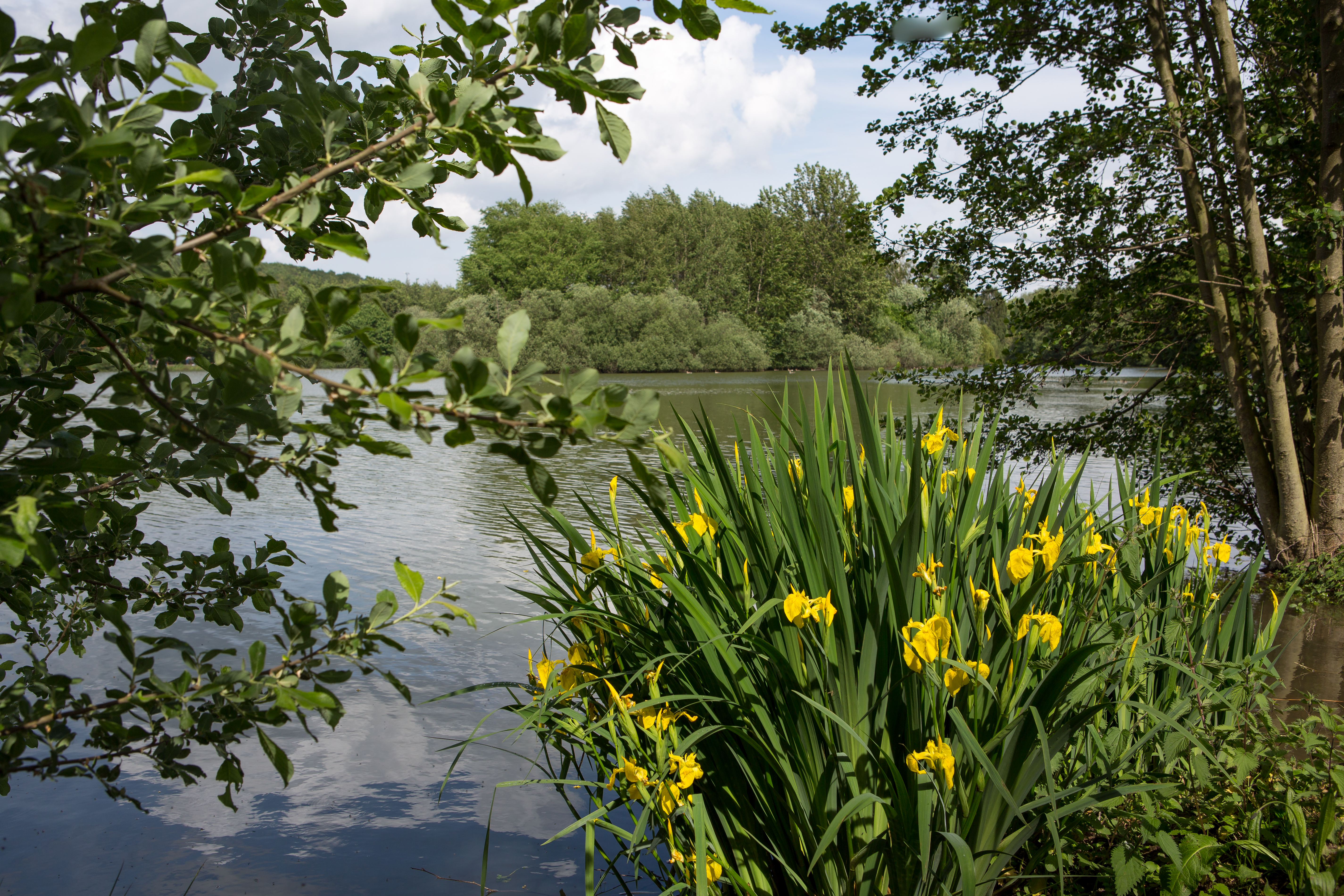 Sonnensee Open Air Bissendorf
