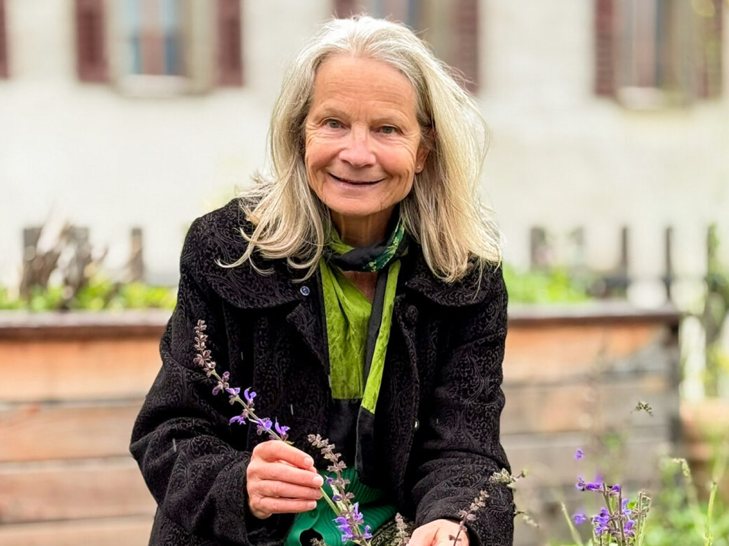 Plantes sauvages au bord du chemin