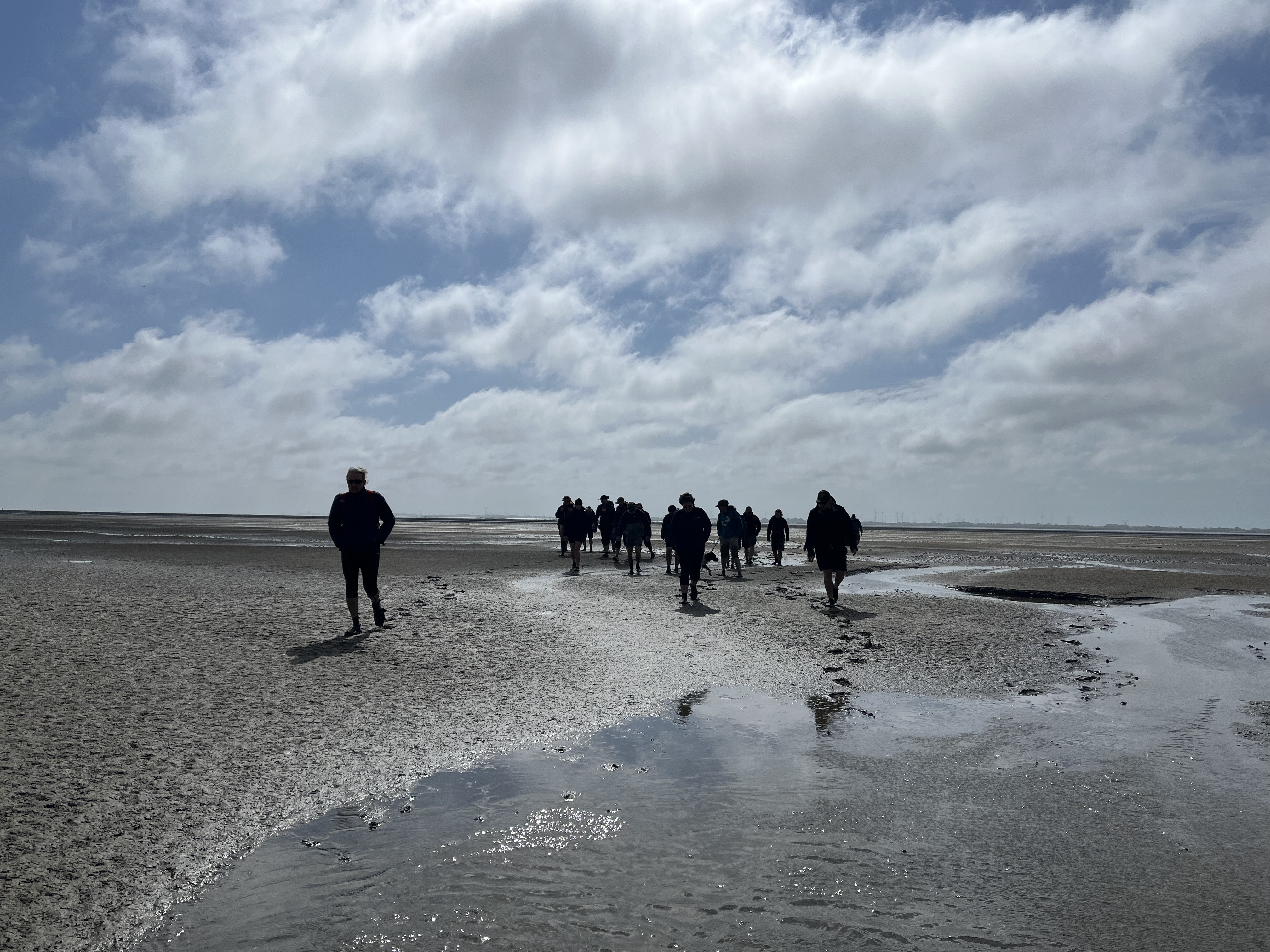 NP Wattwanderung zur Insel Norderney Bild 1.jpg