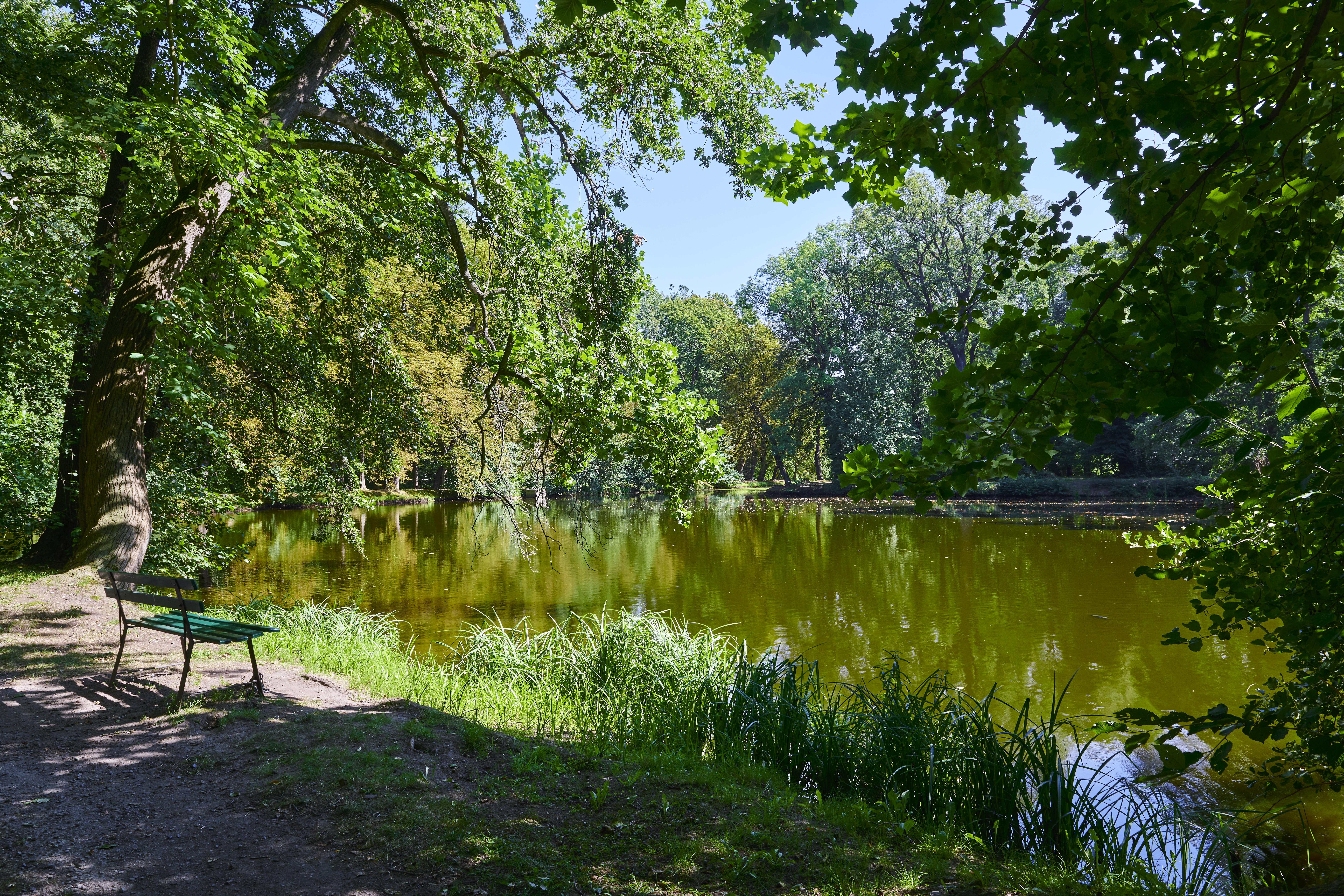 Großböhlaer Park – Motiv