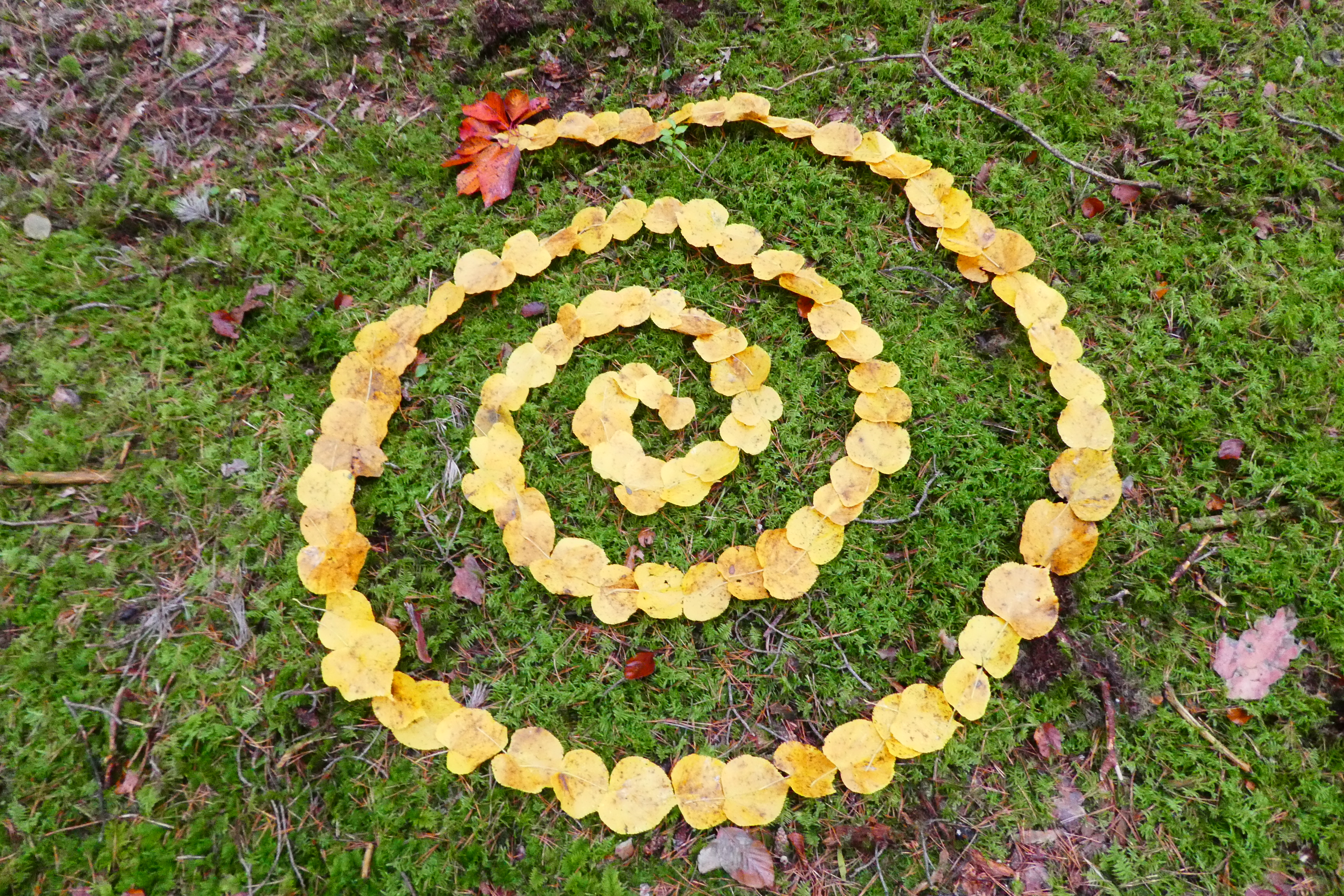 Landart-Projekt „Großer Künstler Wald“