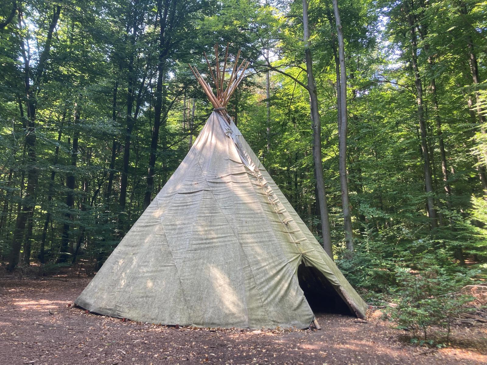 Klangzauber im Wald – Entspannung neu erleben