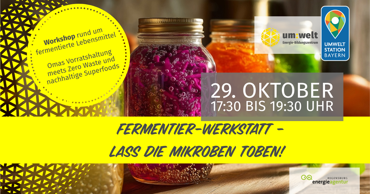um:welt-Workshop: Fermentieren - Lass die Mikroben toben!