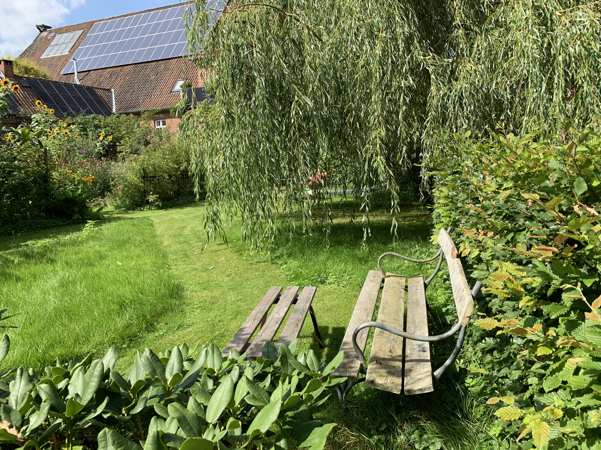 Ferienwohnung-Storchennest_08.JPEG