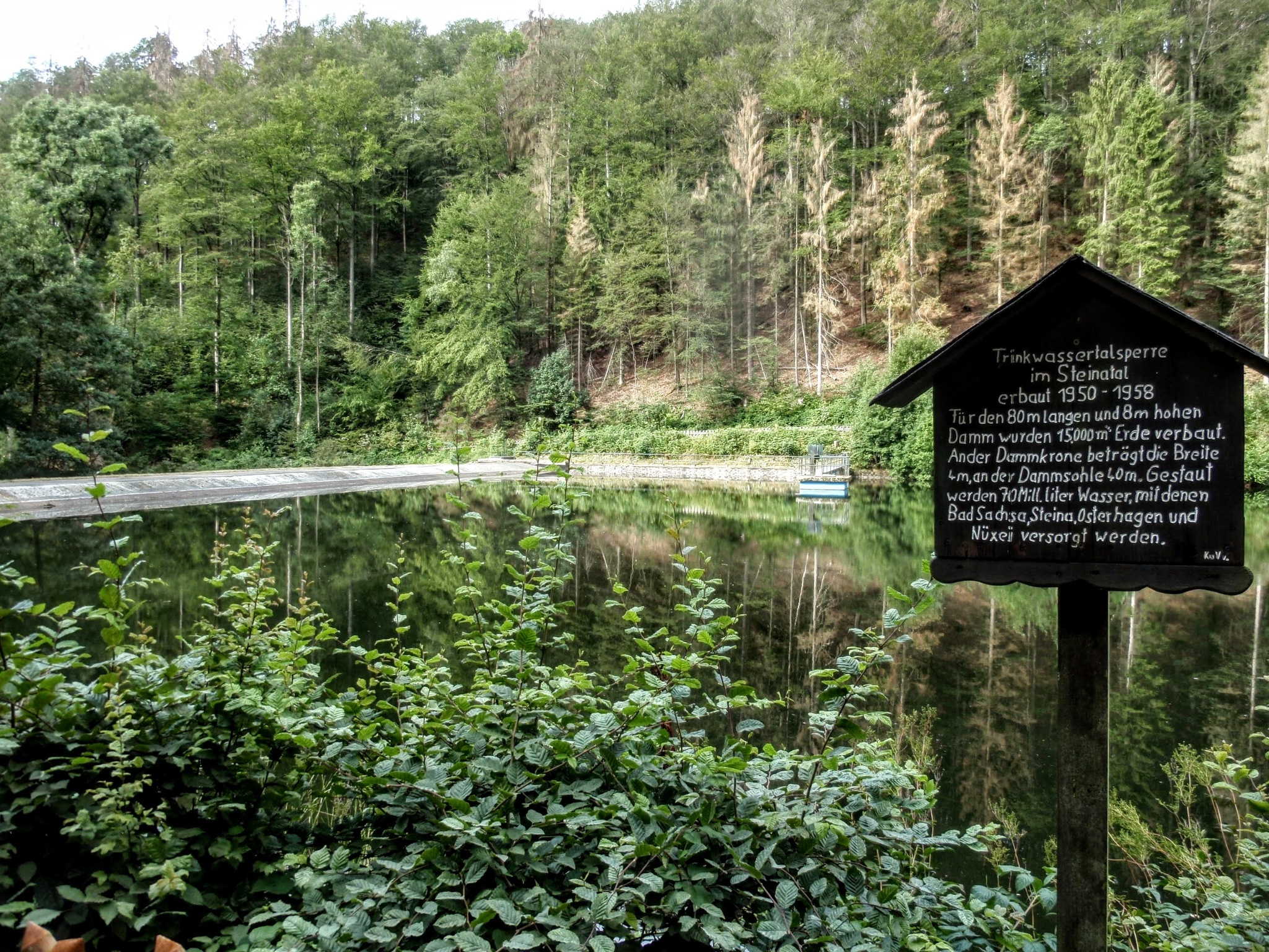 Harz-Rundweg 4. Etappe