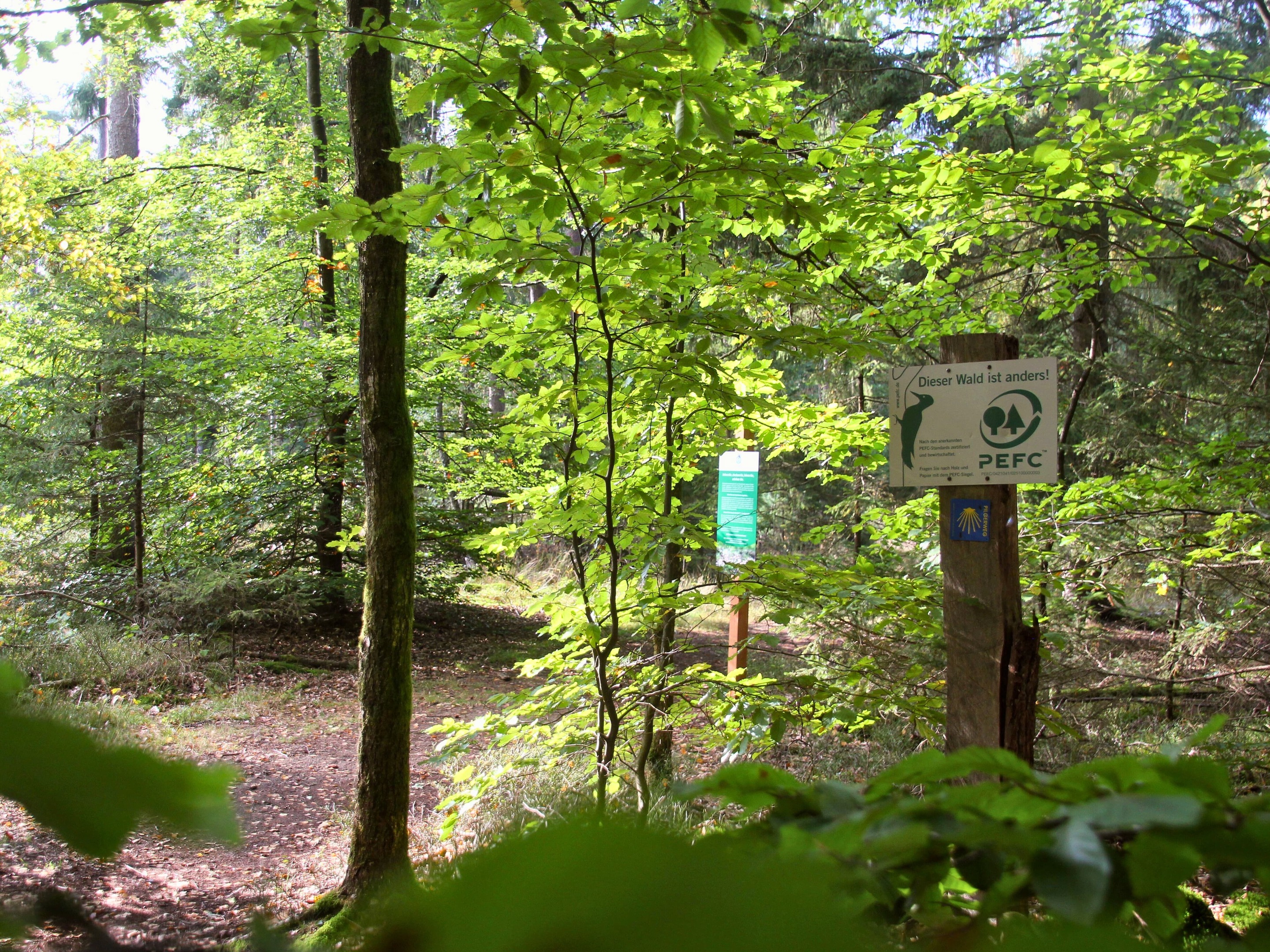 Lüßwald-Tour
