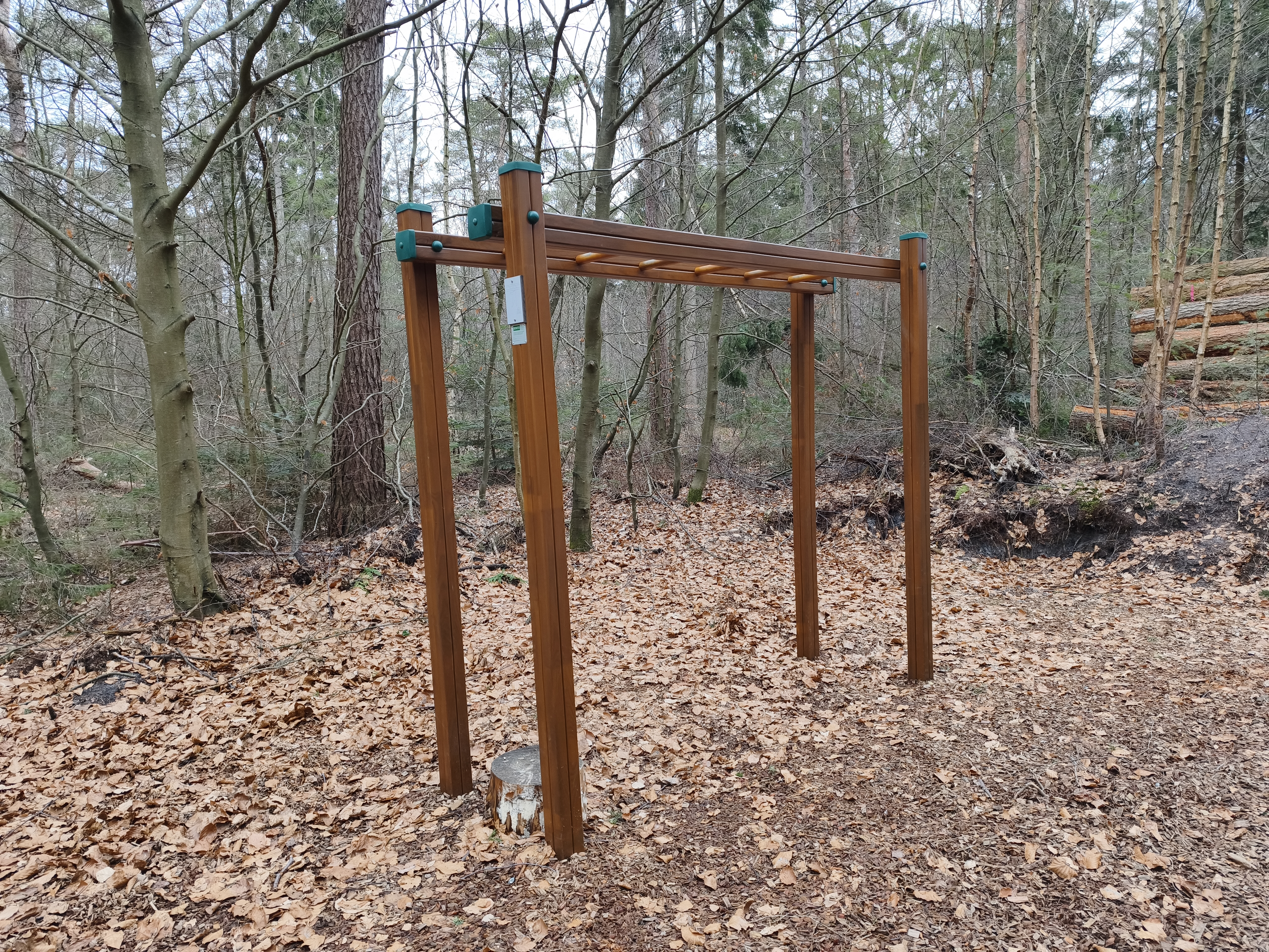 Trimm-Dich-Pfad Kletterbrücke