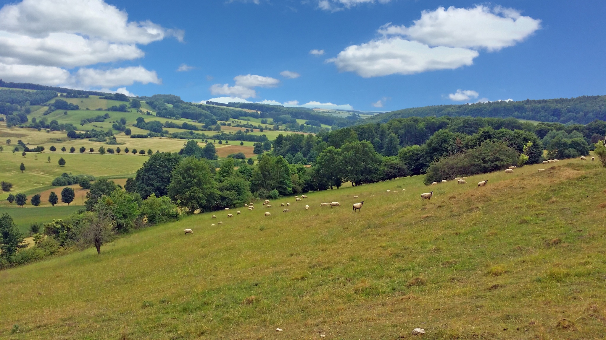 Rundwanderweg durch die Karstlandschaft über den Rötzel und Ührde (Nr. 4)