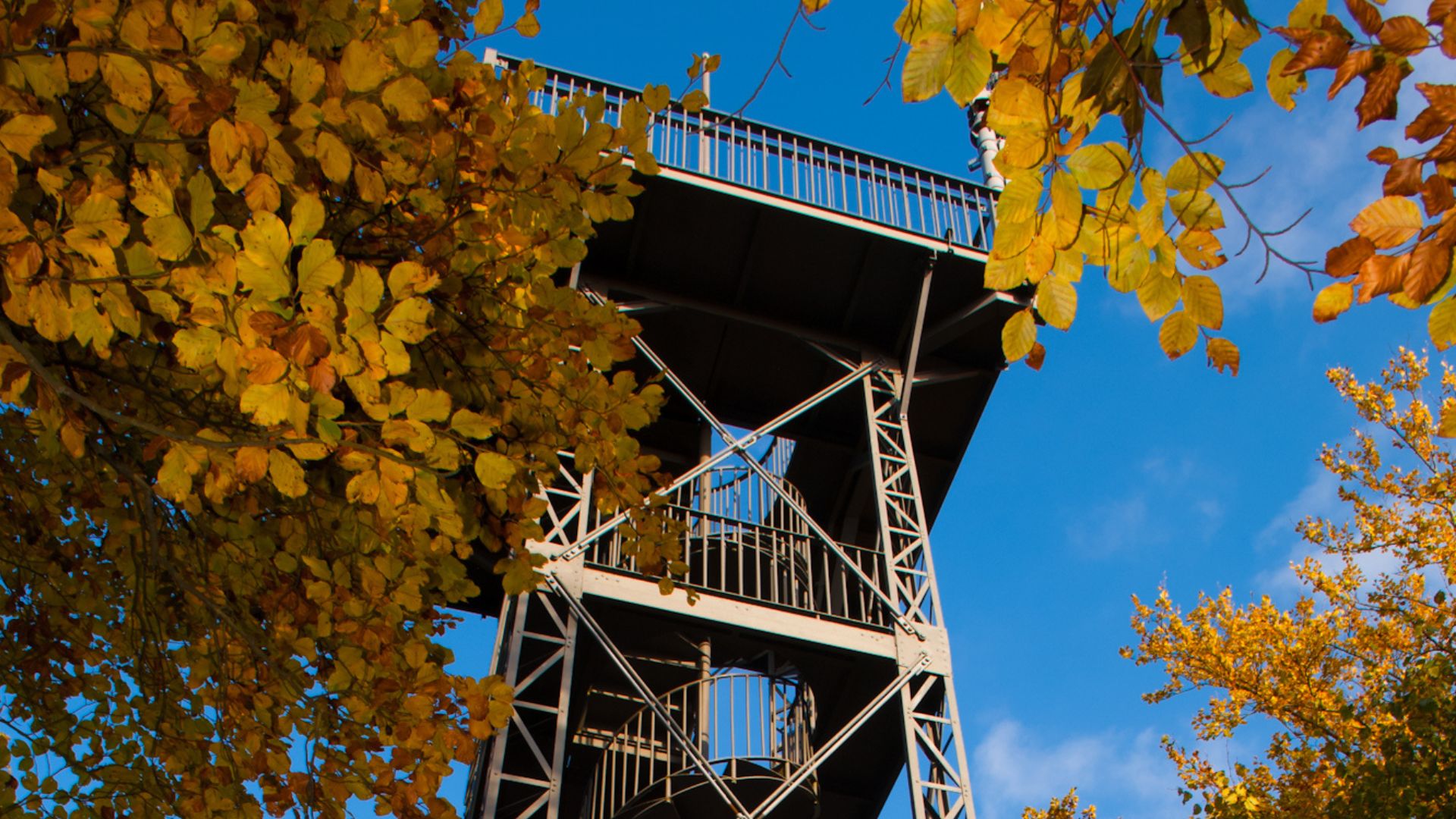Rundwanderweg NaturErlebnisPark Lerbach zum Aussichtsturm Kuckholzklippe