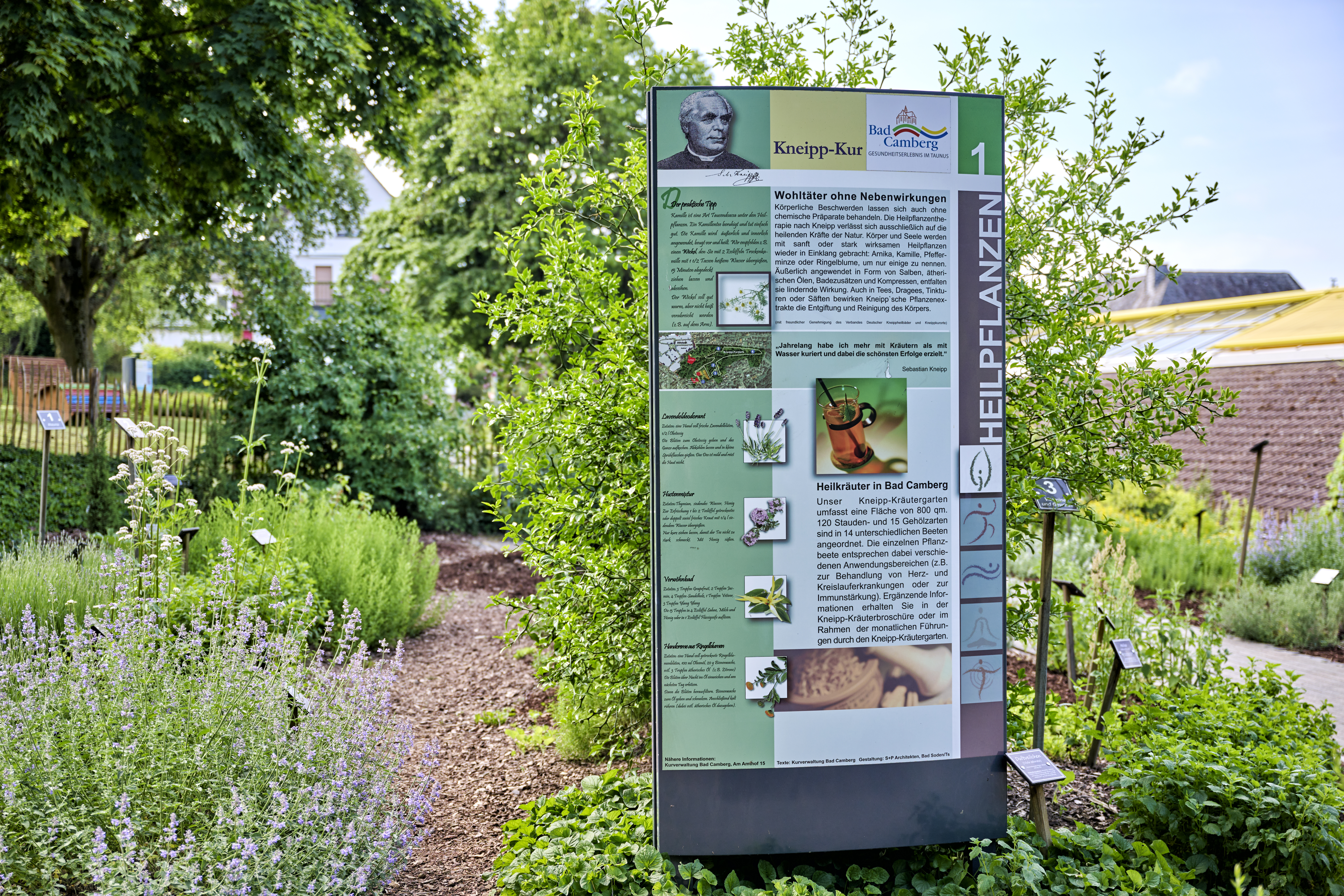Blick in den Kräutergarten im Kurpark Bad Camberg