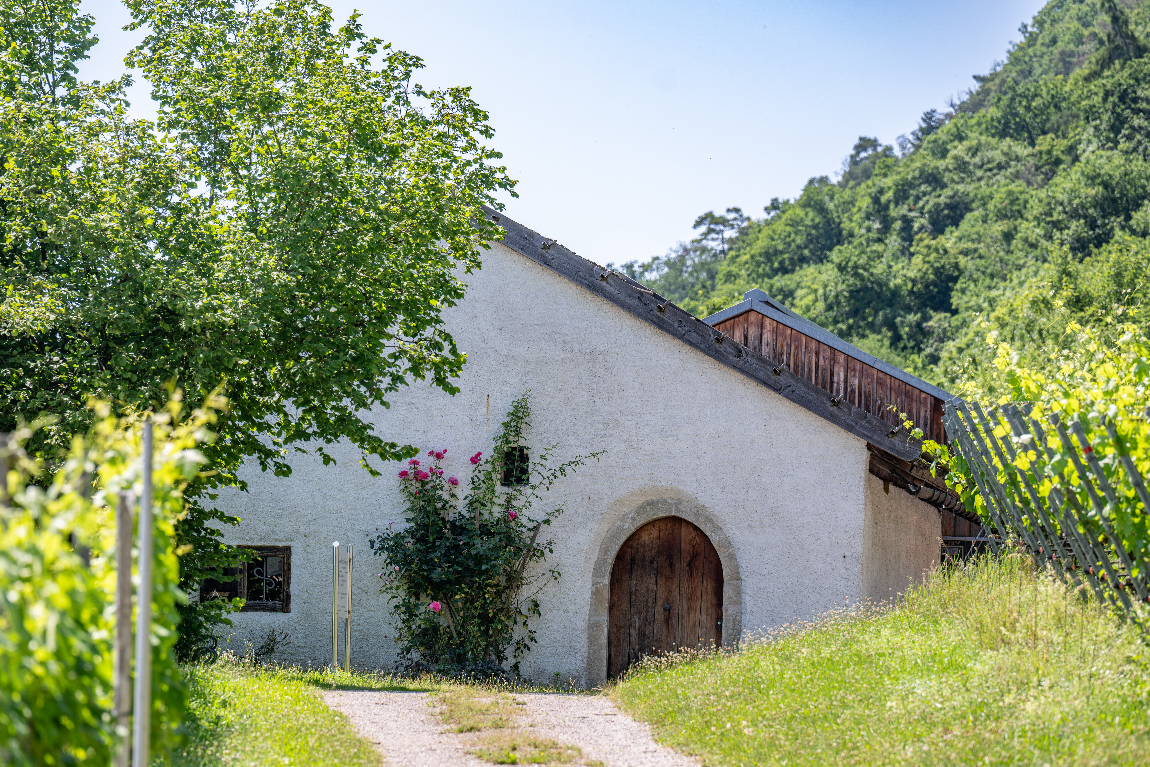 Öffentliche Führung - Baierweinmuseum Bach
