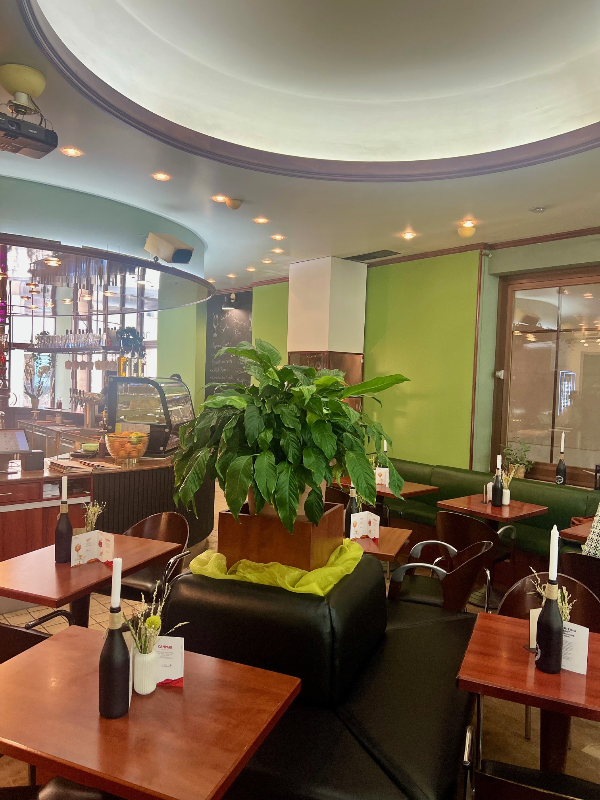 Bild vergr&ouml;&szlig;ern: 