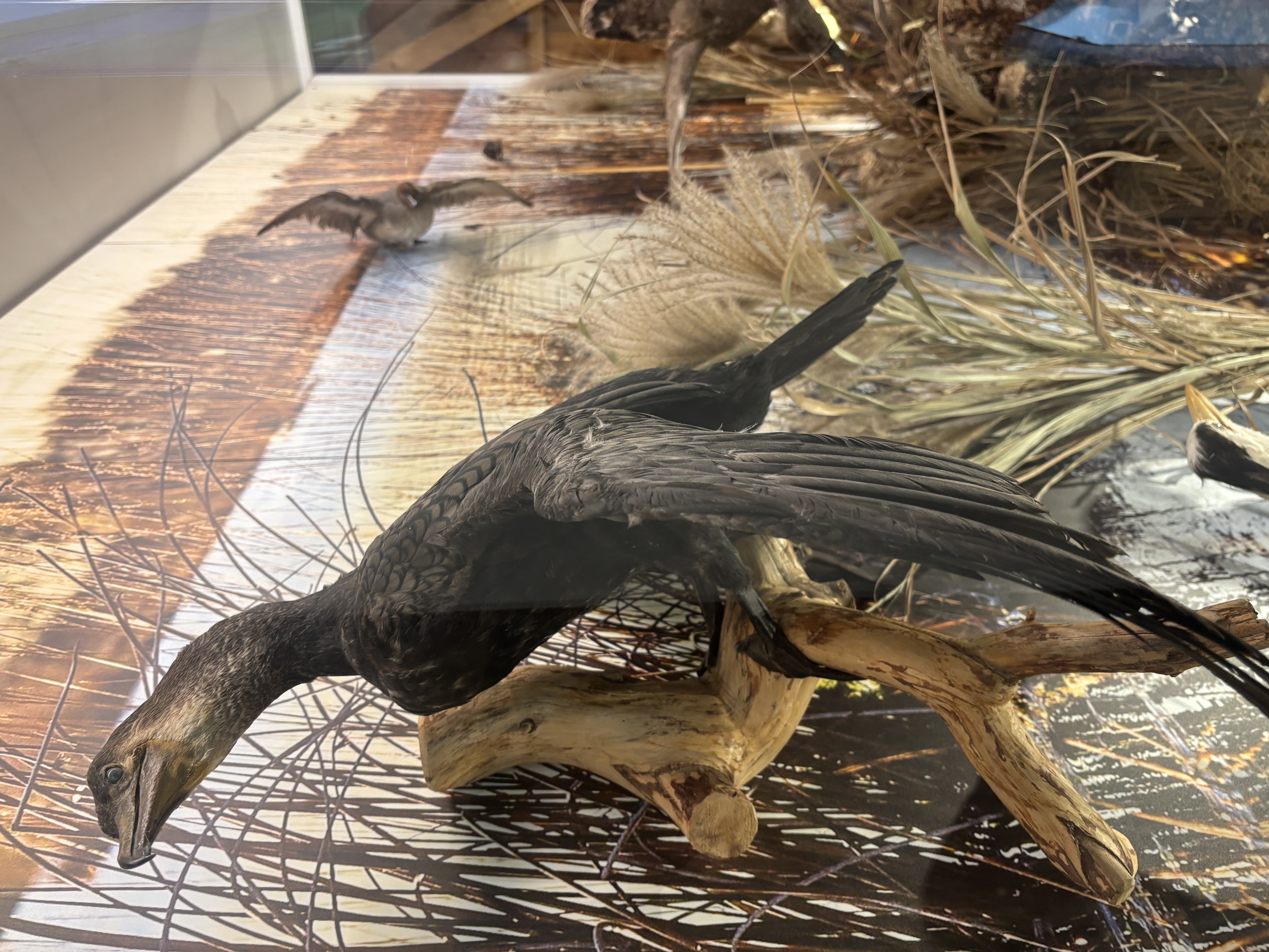 Naturerlebnishaus beim Schulmuseum