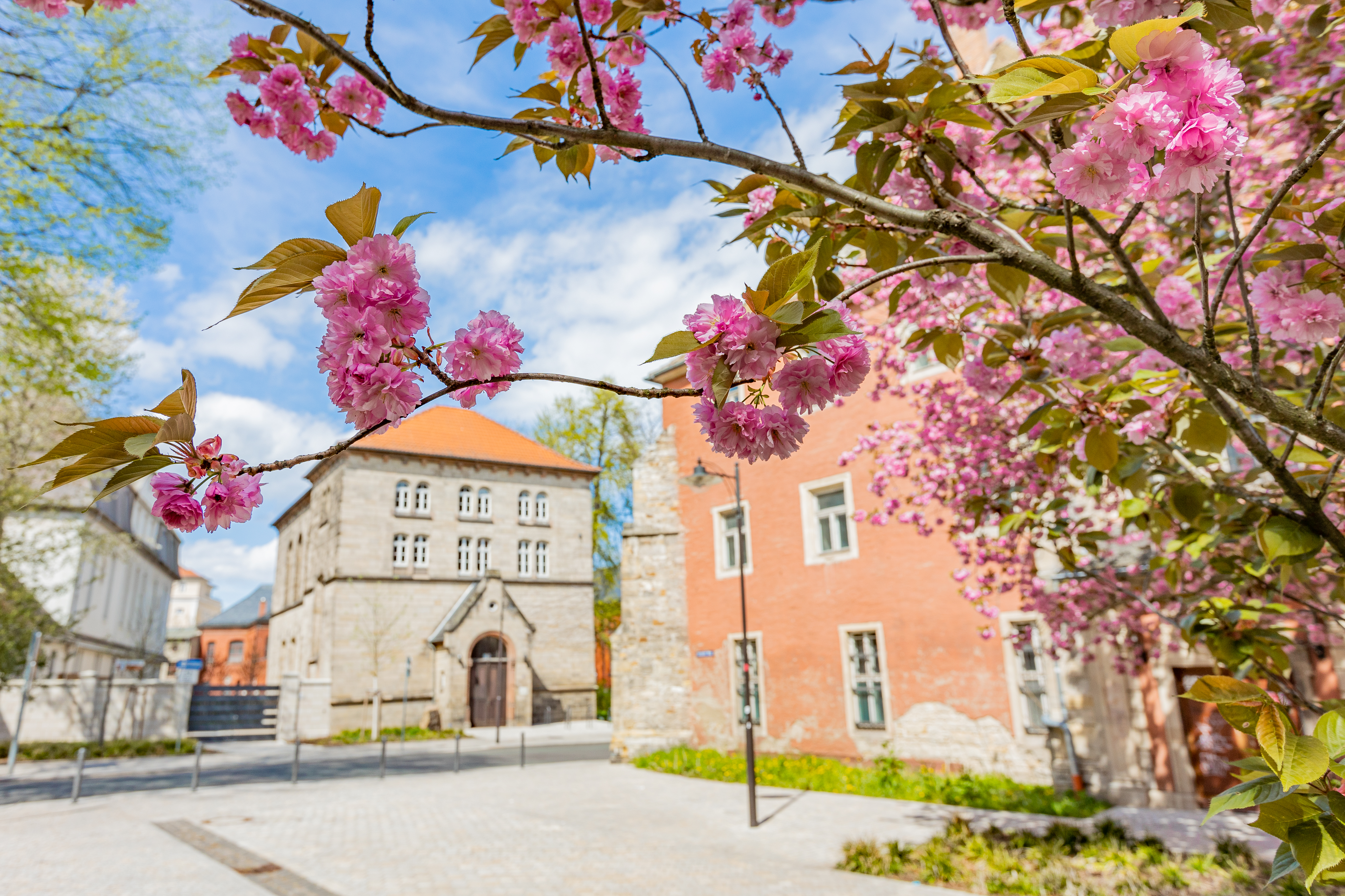 Osterspaziergang - &raquo;Auf gr&uuml;nen Pfaden entlang der Wiesenstra&szlig;e&laquo;