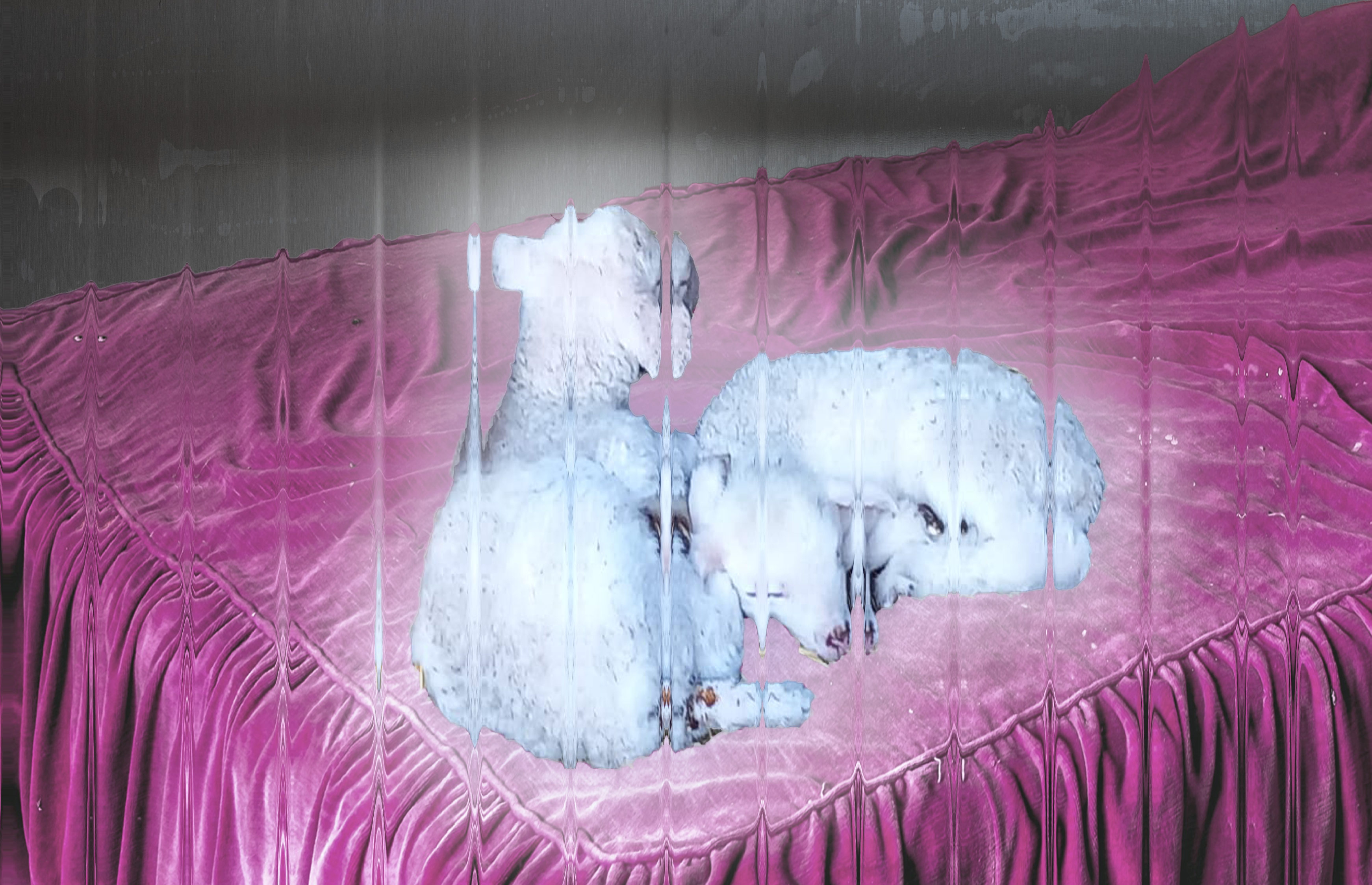 sleepover von Krystyna Fitz-Harris und Karolin Meyerjohann