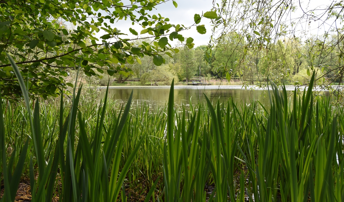 Sonntagsspaziergang - Lustwandeln rund um den Dowesee