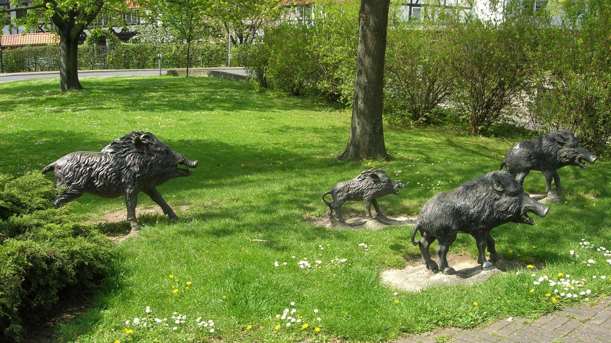Die Wildschweinrotte