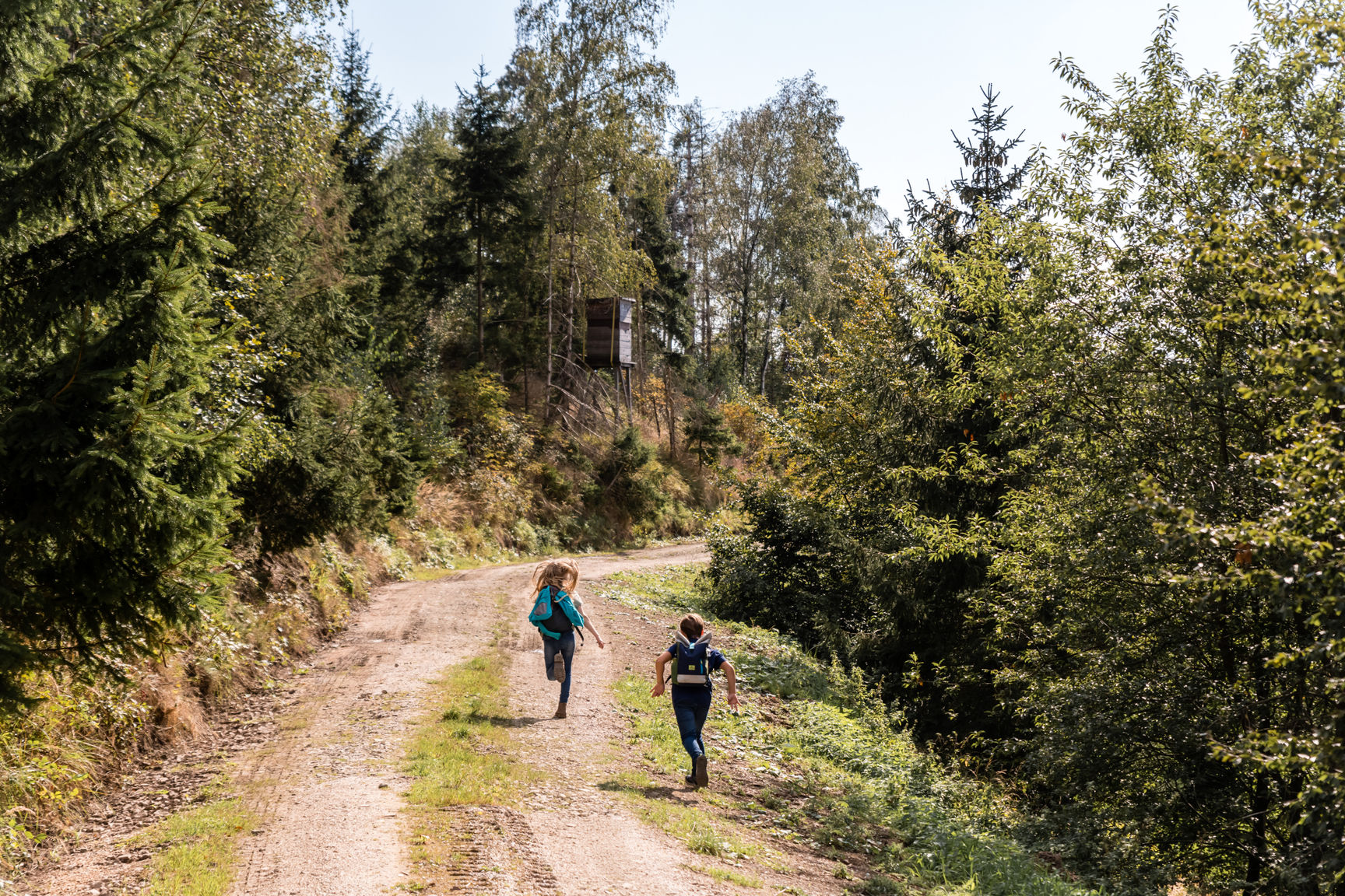 Rundweg Waldvogelstation