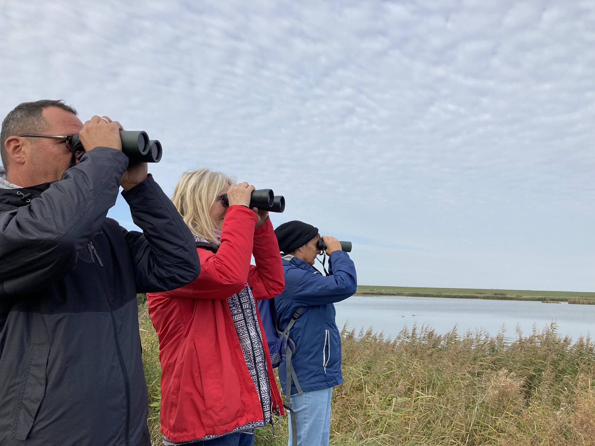 Vogelzug im Klimawandel_Seminar