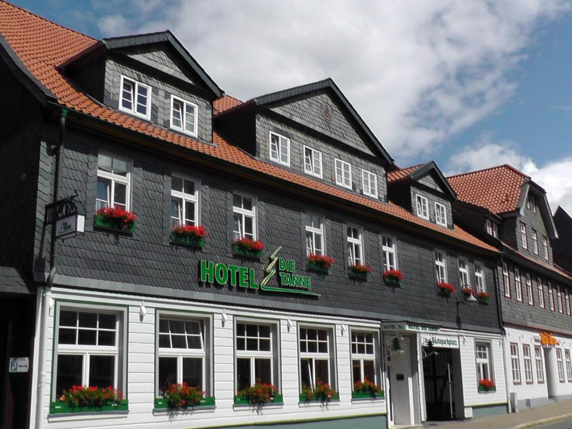 Die Tanne.jpg